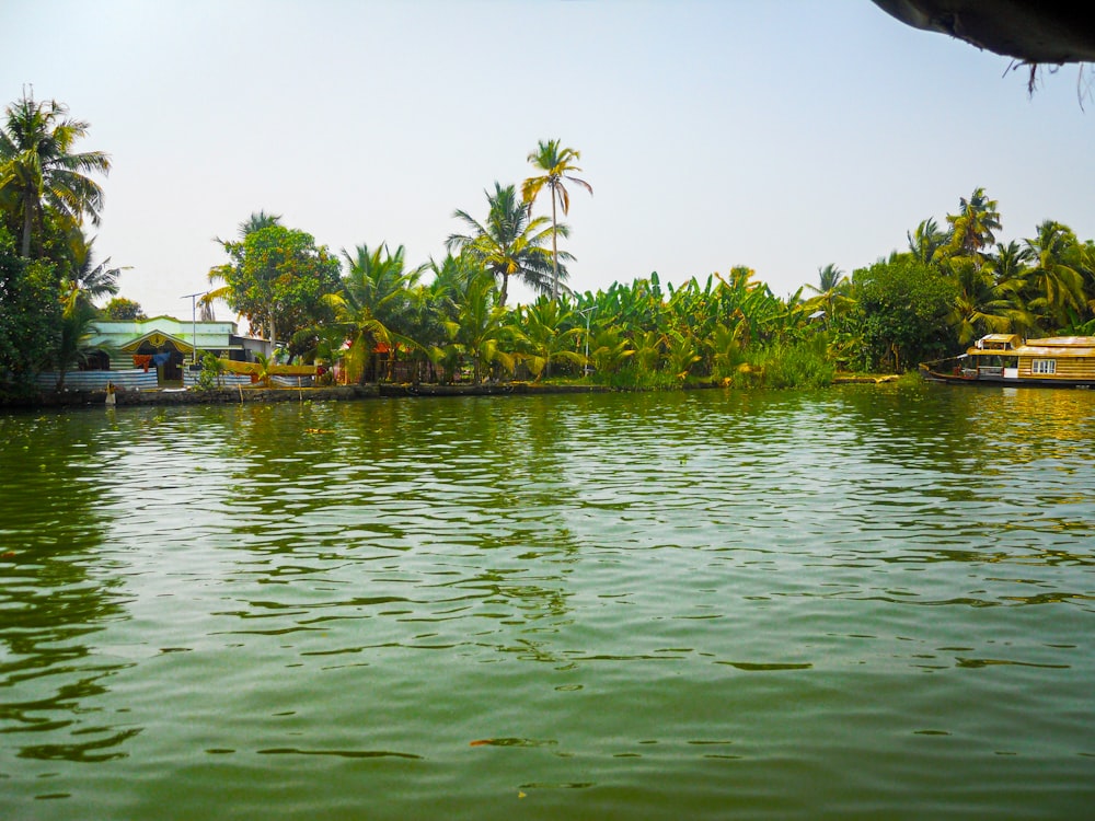 a body of water surrounded by palm trees