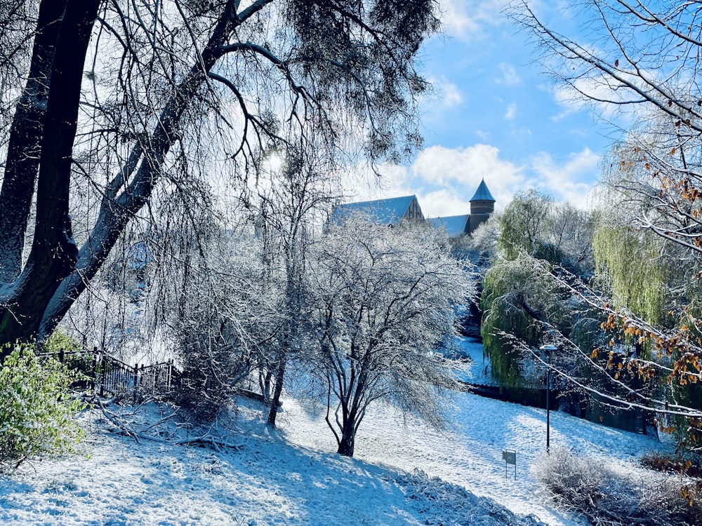 a snowy landscape with trees and a church in the background
