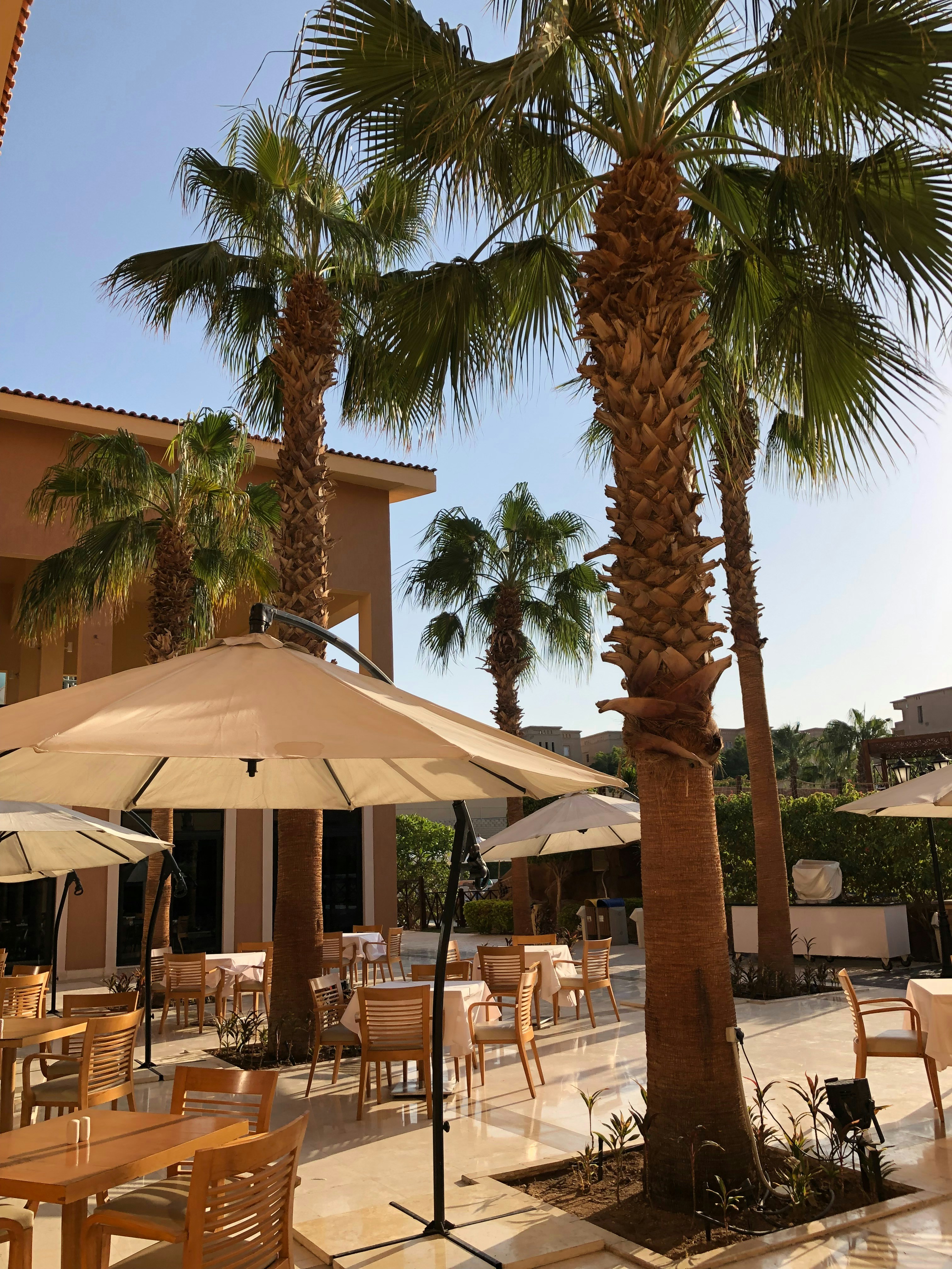 Sahara Mediterranean Restaurant Menu