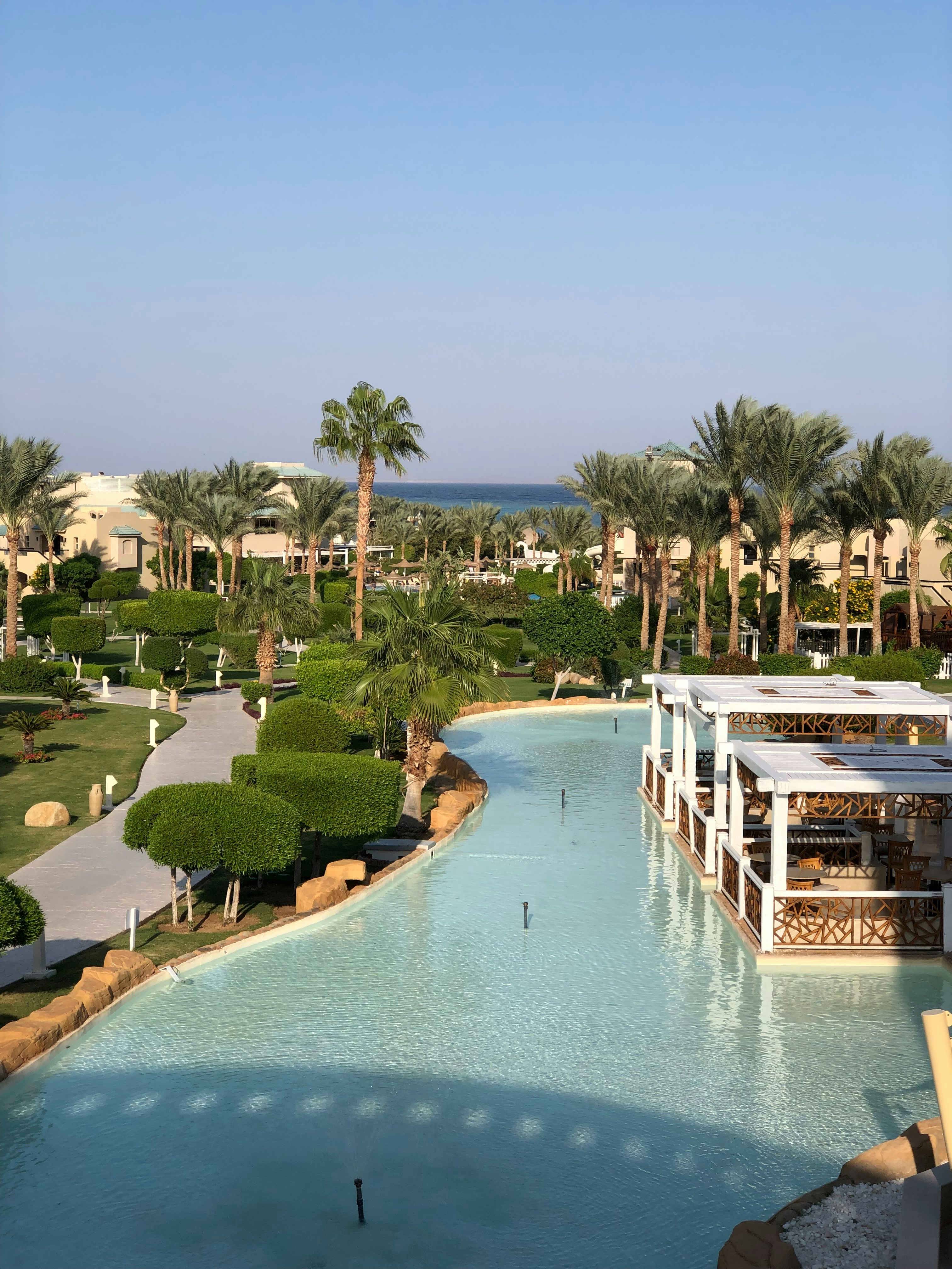 a large swimming pool surrounded by palm trees