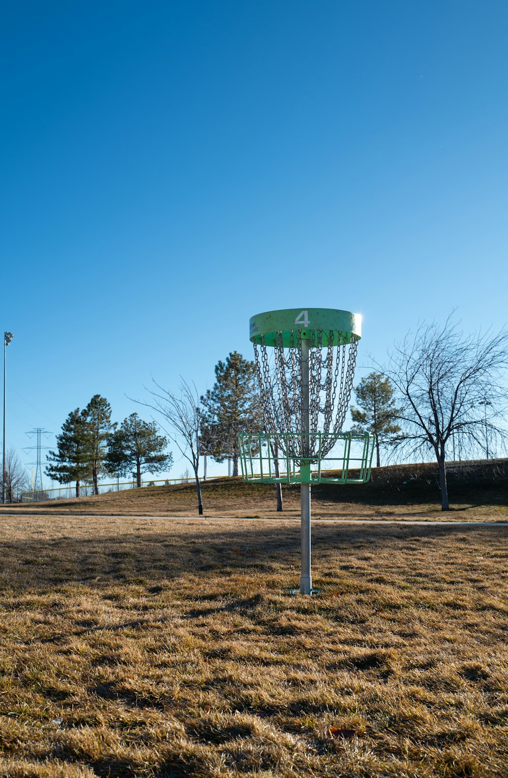 Una buca da golf di frisbee in mezzo a un campo