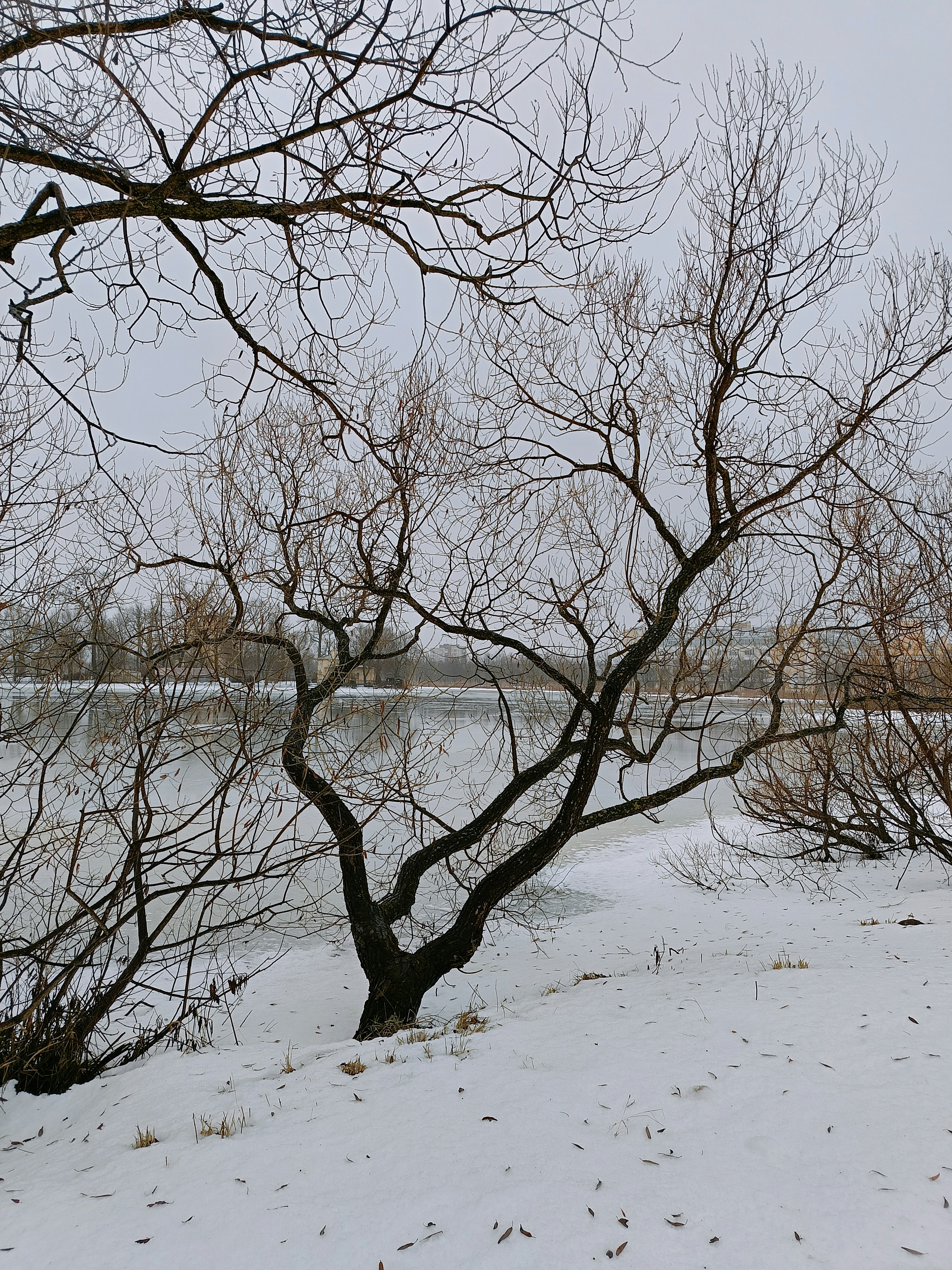 Photo by darkwaterwell