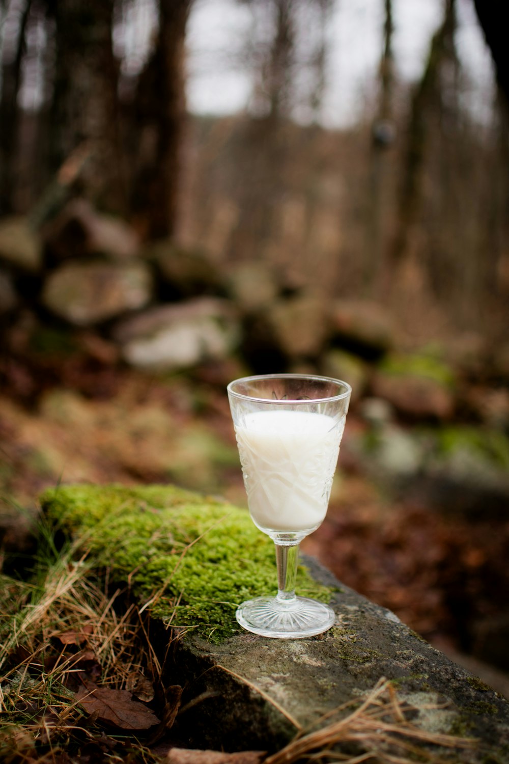 a glass filled with liquid sitting on top of a moss covered rock