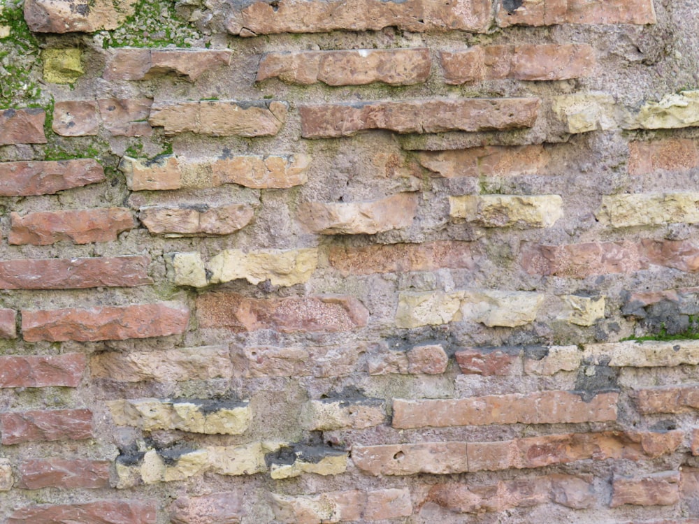 a cat sitting on a bench in front of a brick wall