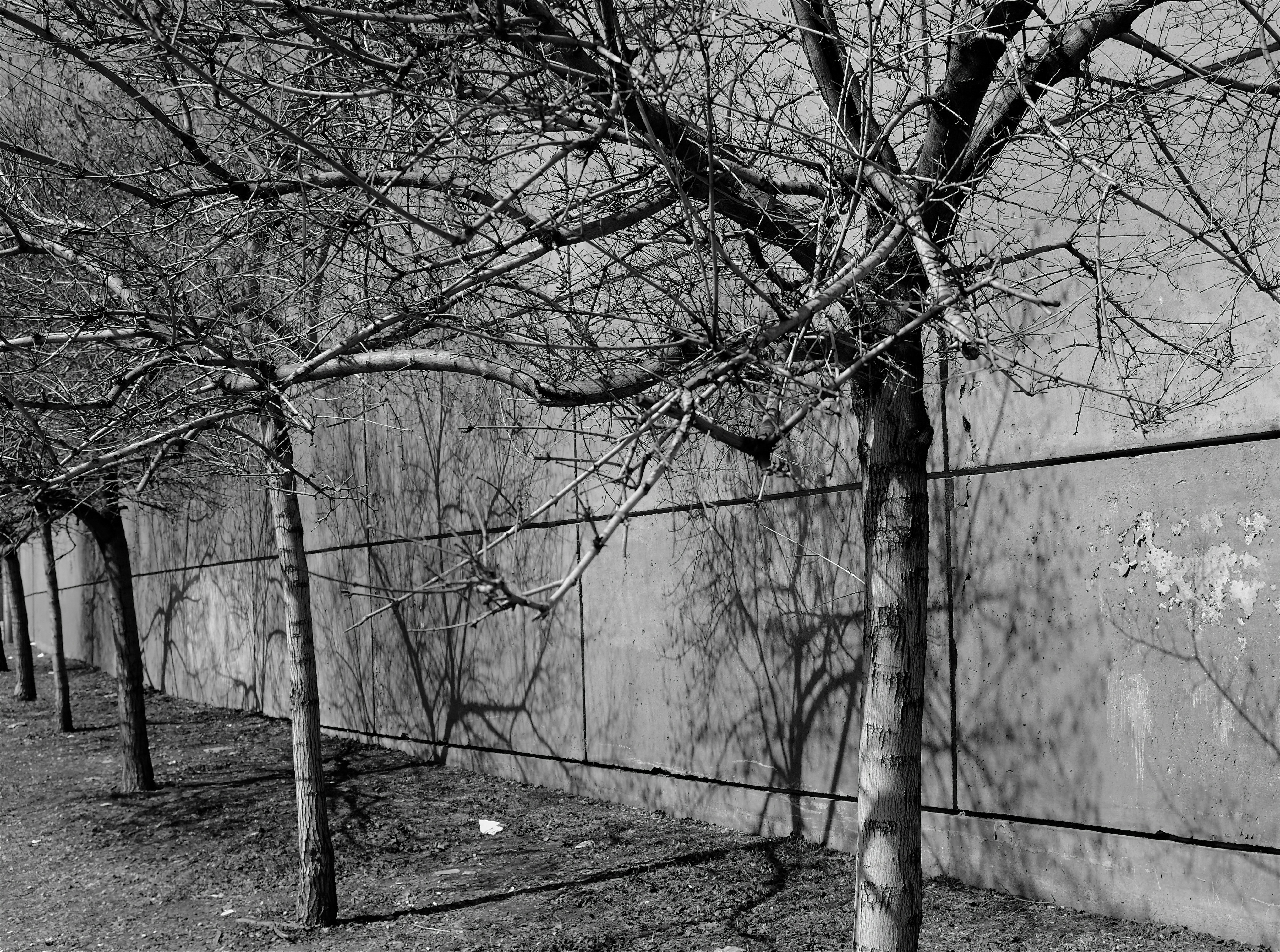 Photo by jonathankslim