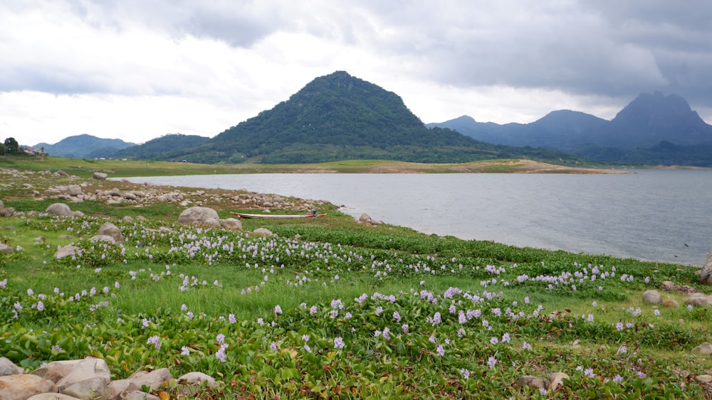 a large body of water sitting next to a lush green field