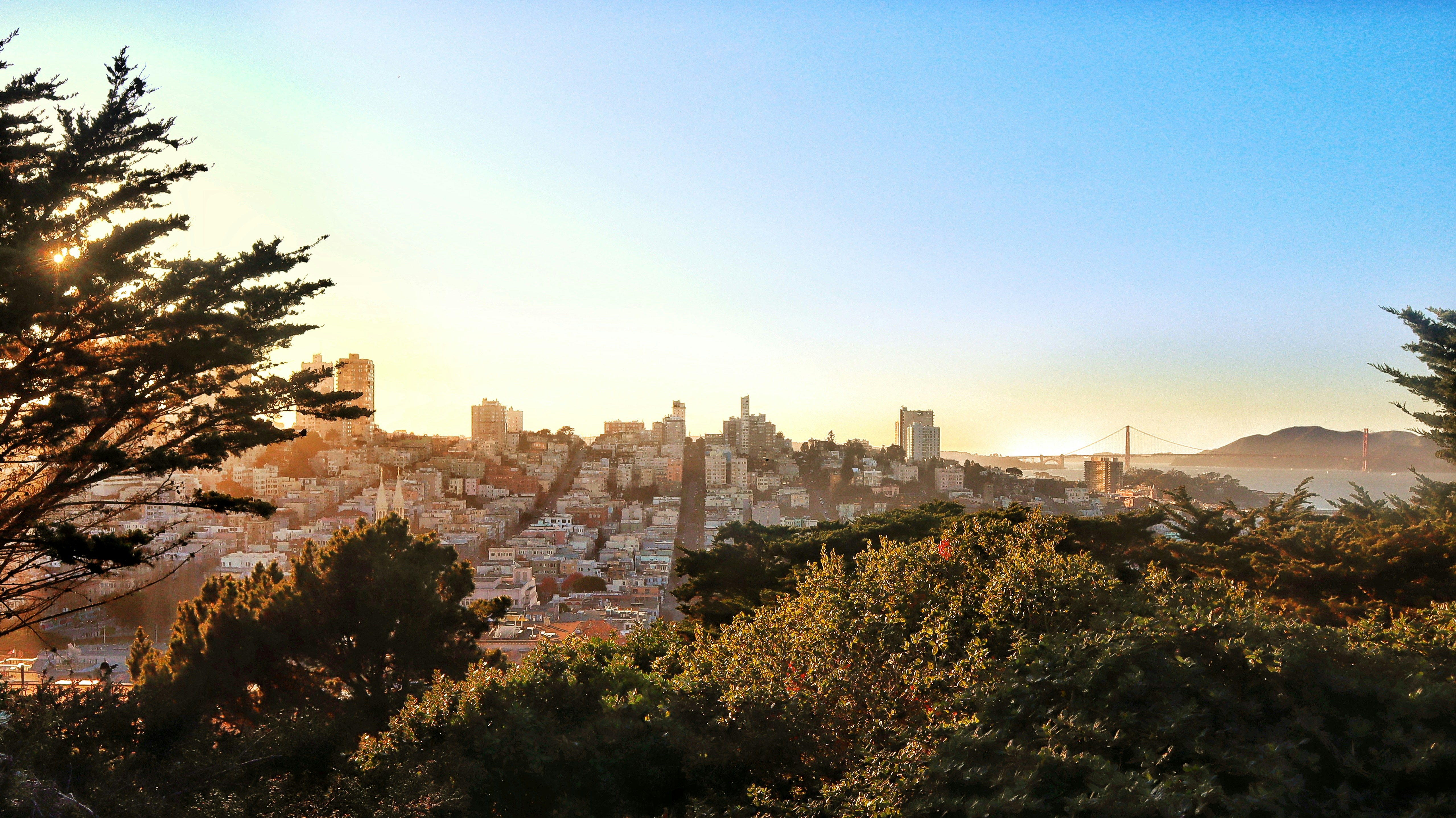 Photo by juniperoverbeke