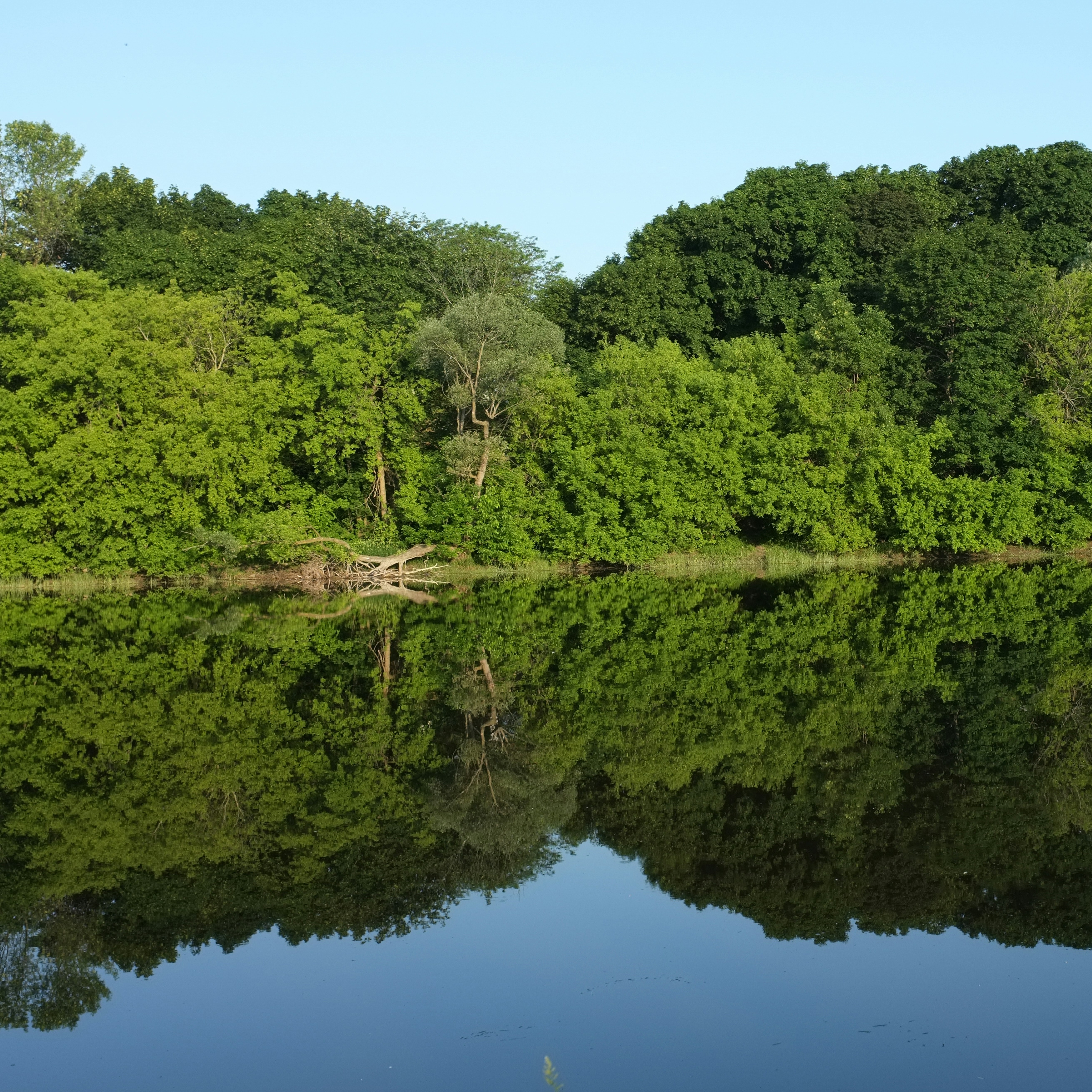 Photo by jonathankslim