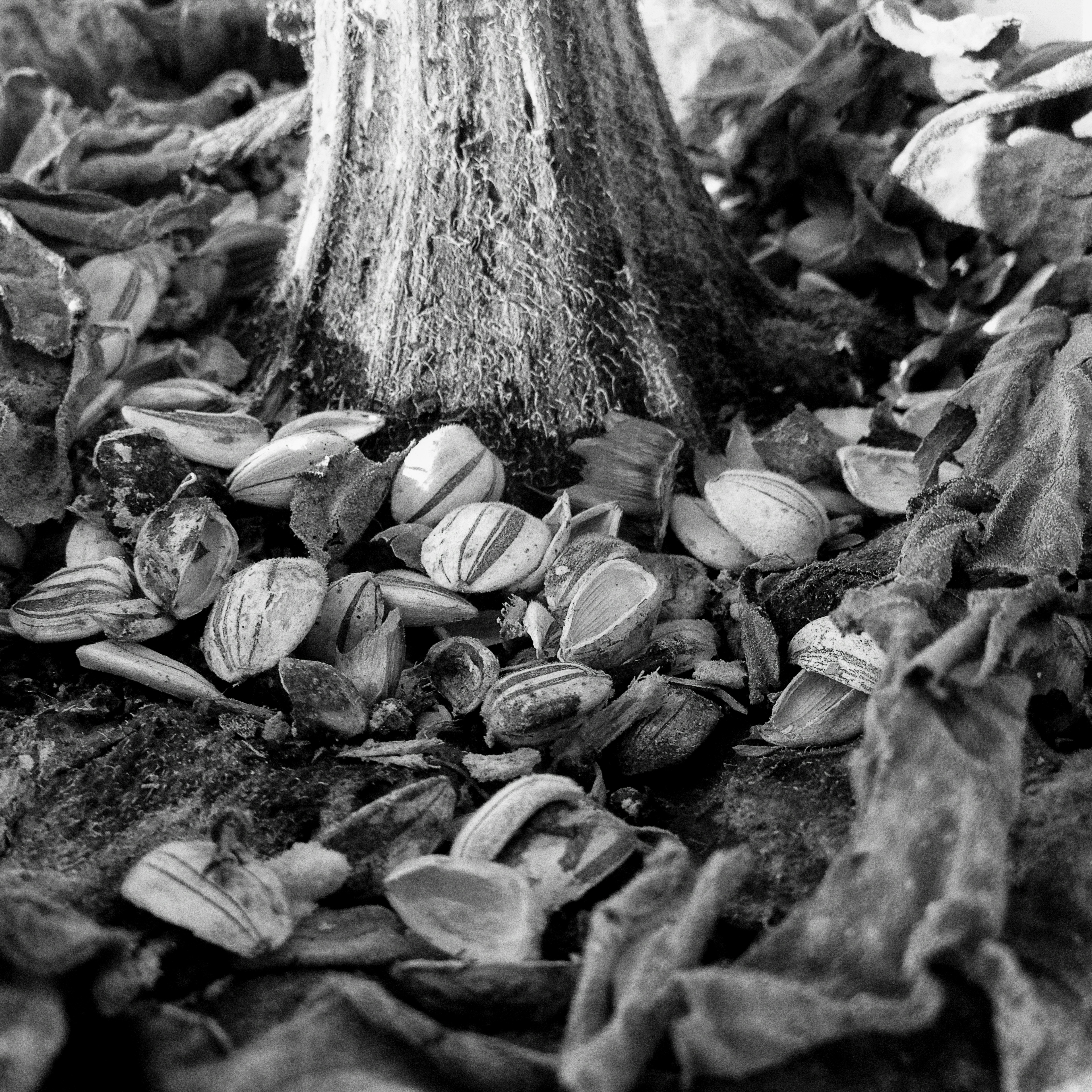 Photo by jonathankslim