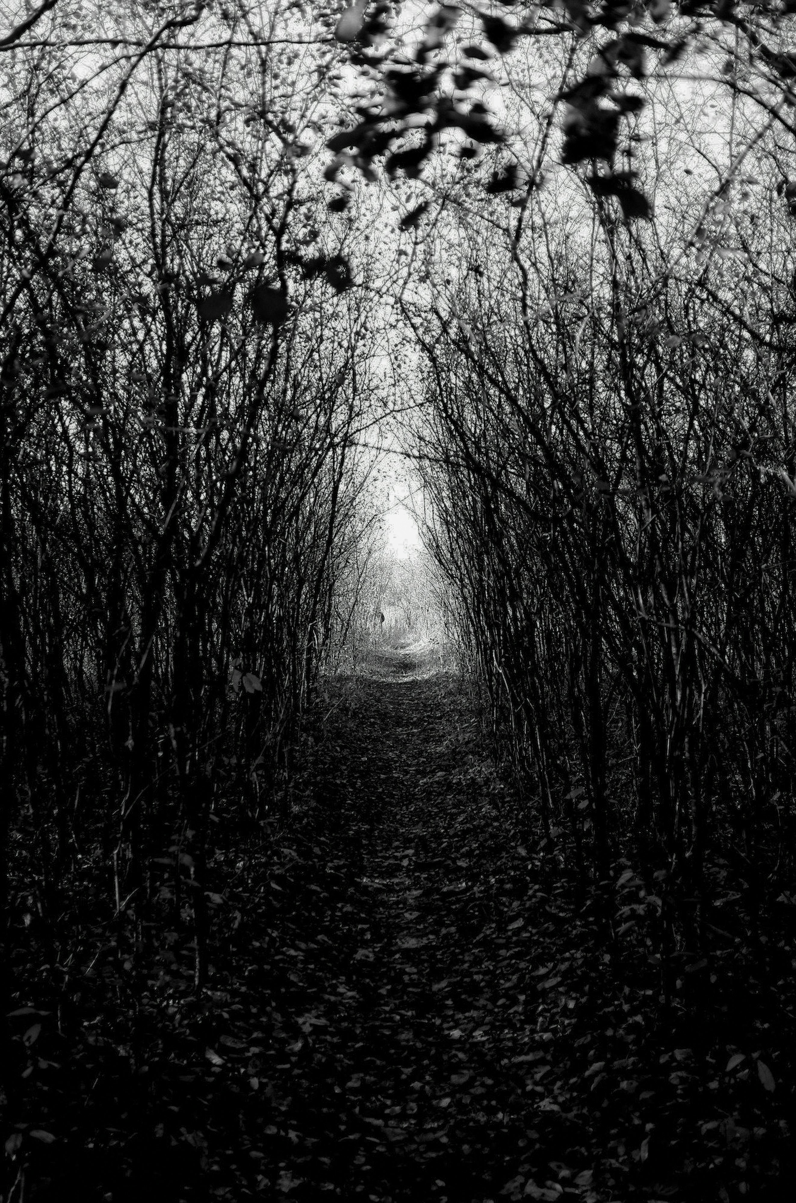 Photo by jonathankslim