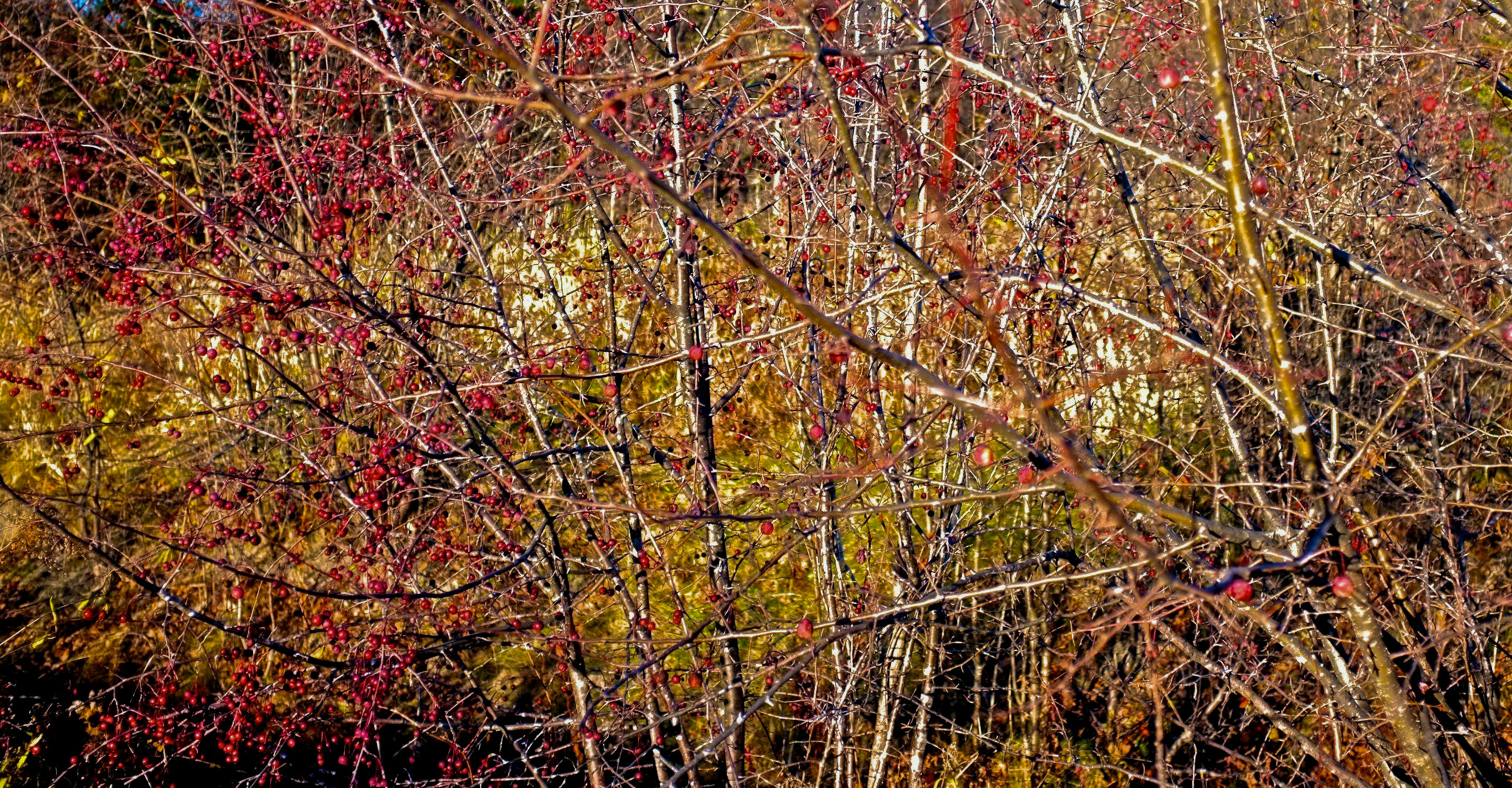 Photo by jonathankslim