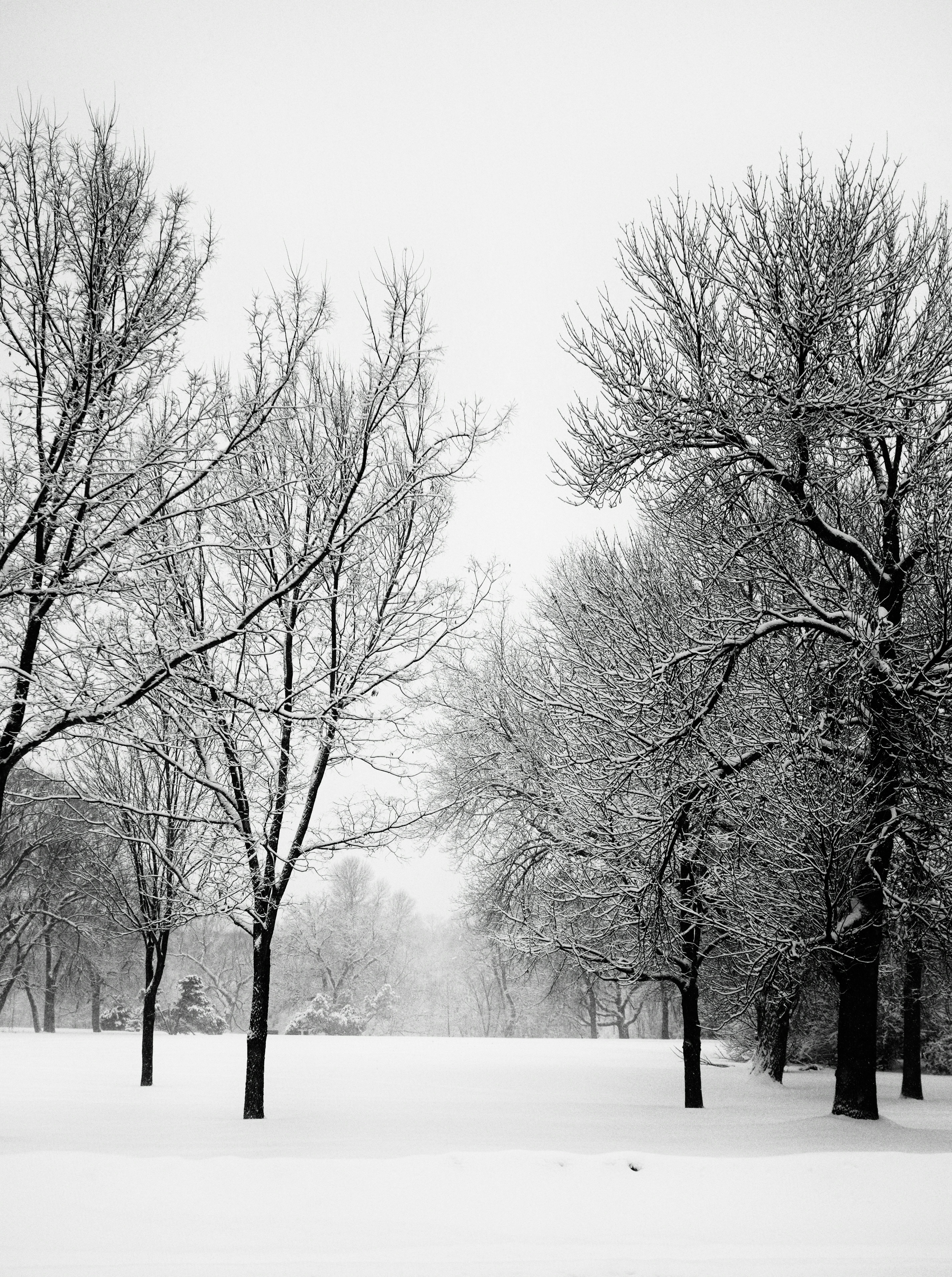 Photo by jonathankslim