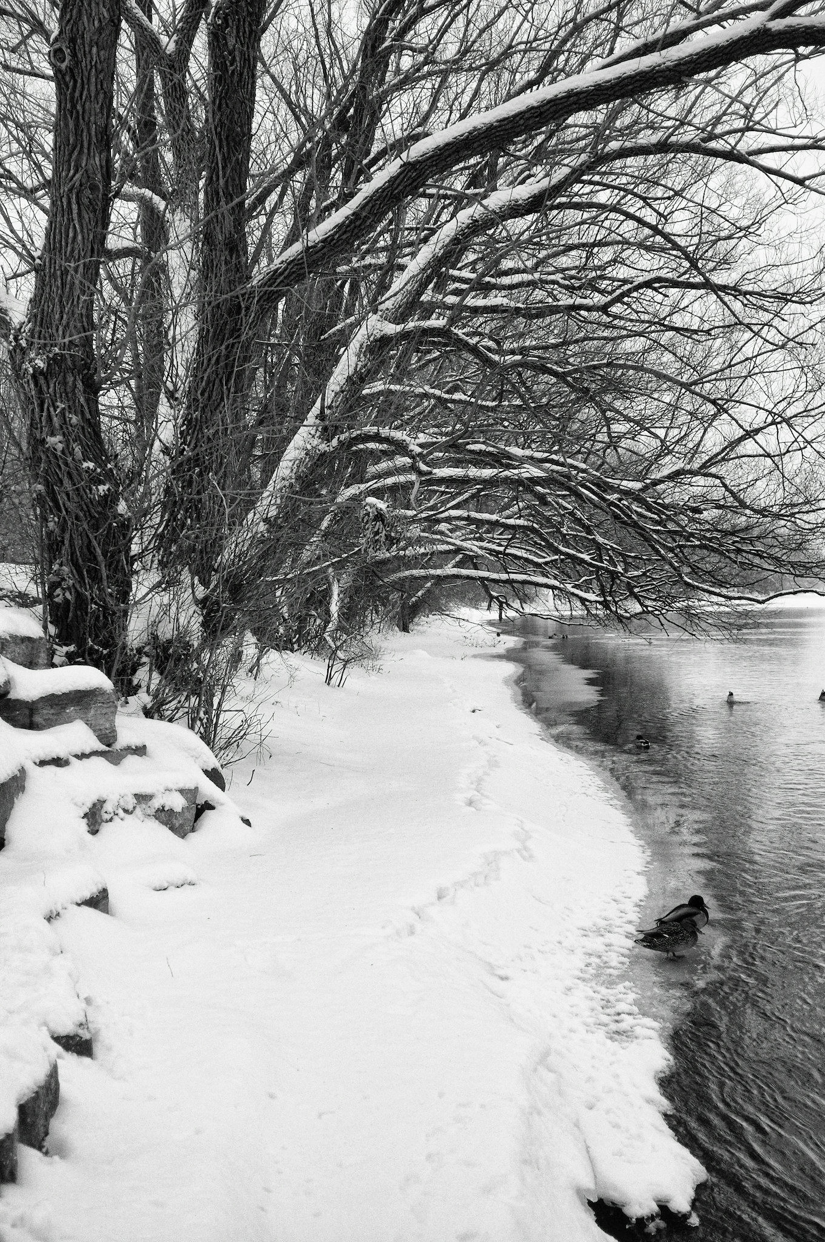Photo by jonathankslim