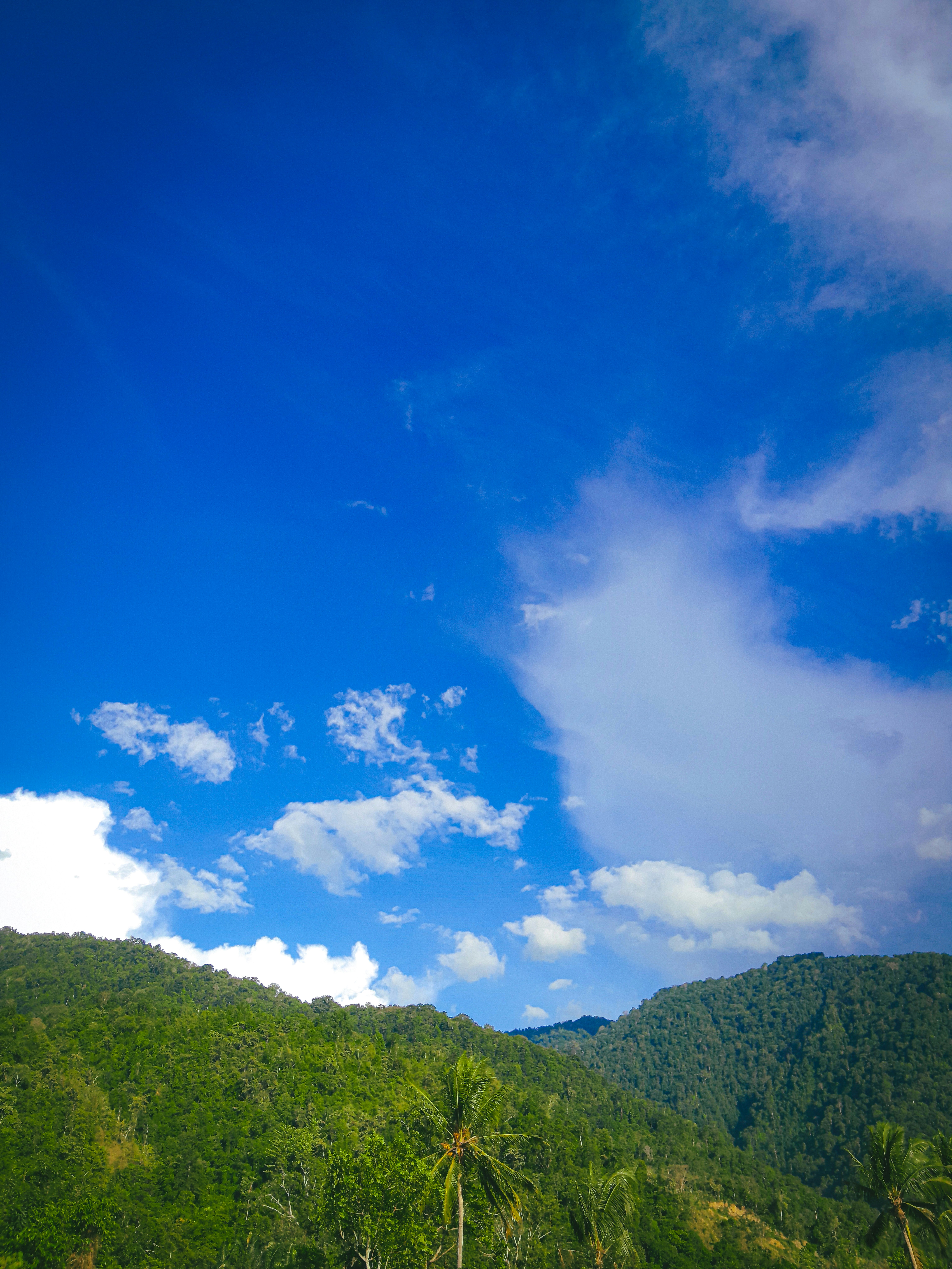 Photo by muhamadgavil_