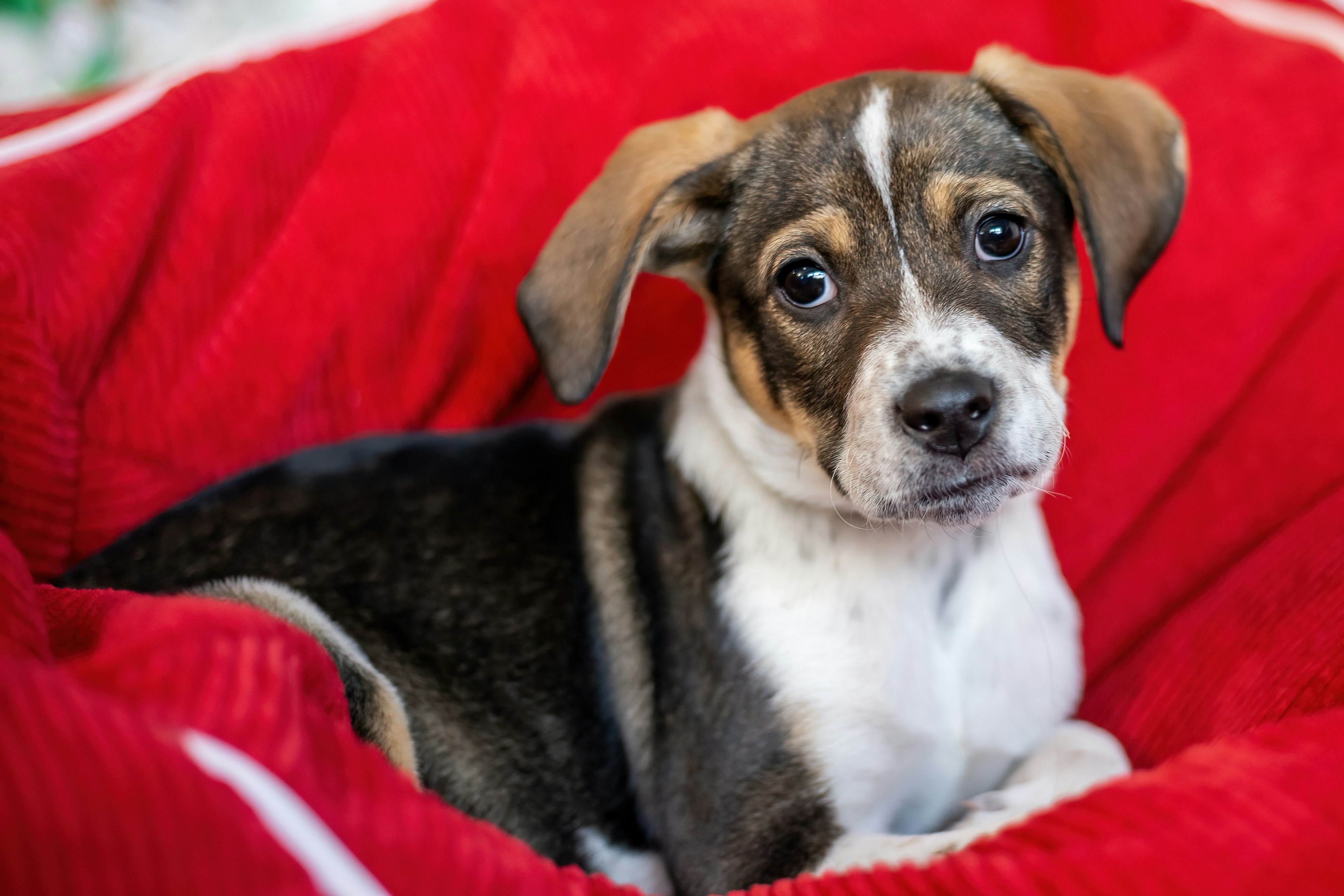 Photo by aprilwalker