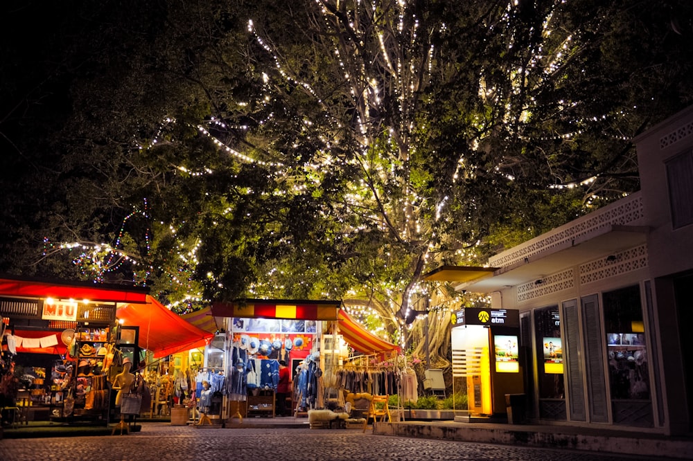 una scena notturna di un albero con luci su di esso