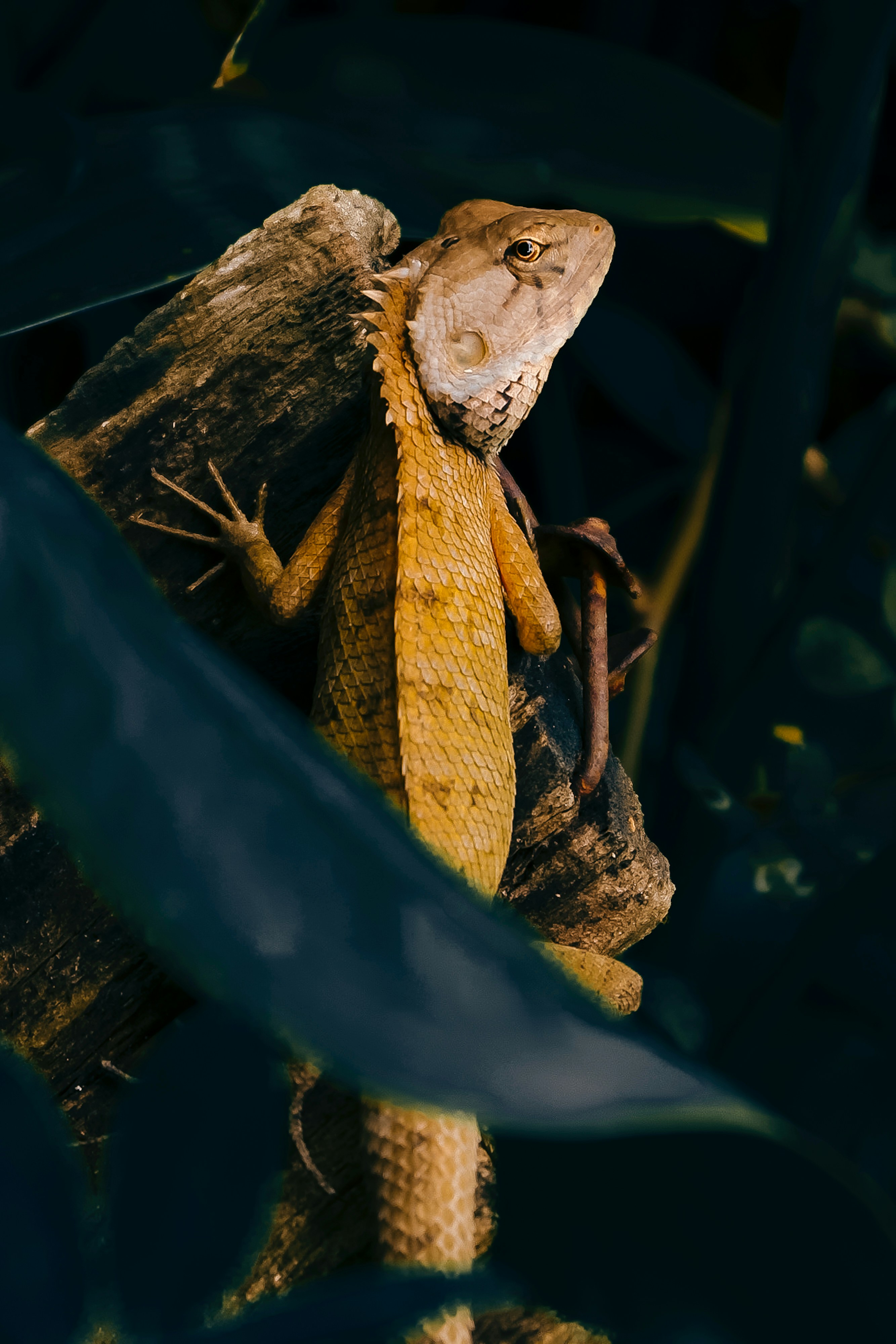 Photo by ngamnada