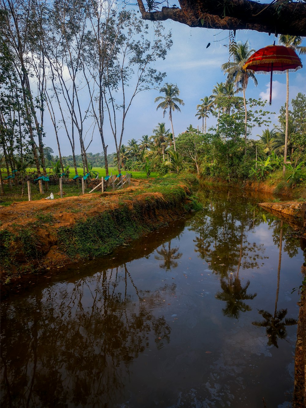 a body of water surrounded by trees and a hammock