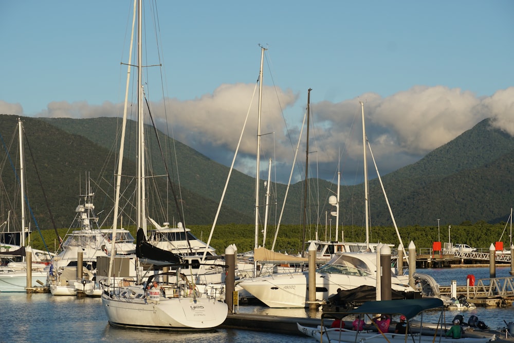 a group of sailboats docked at a marina