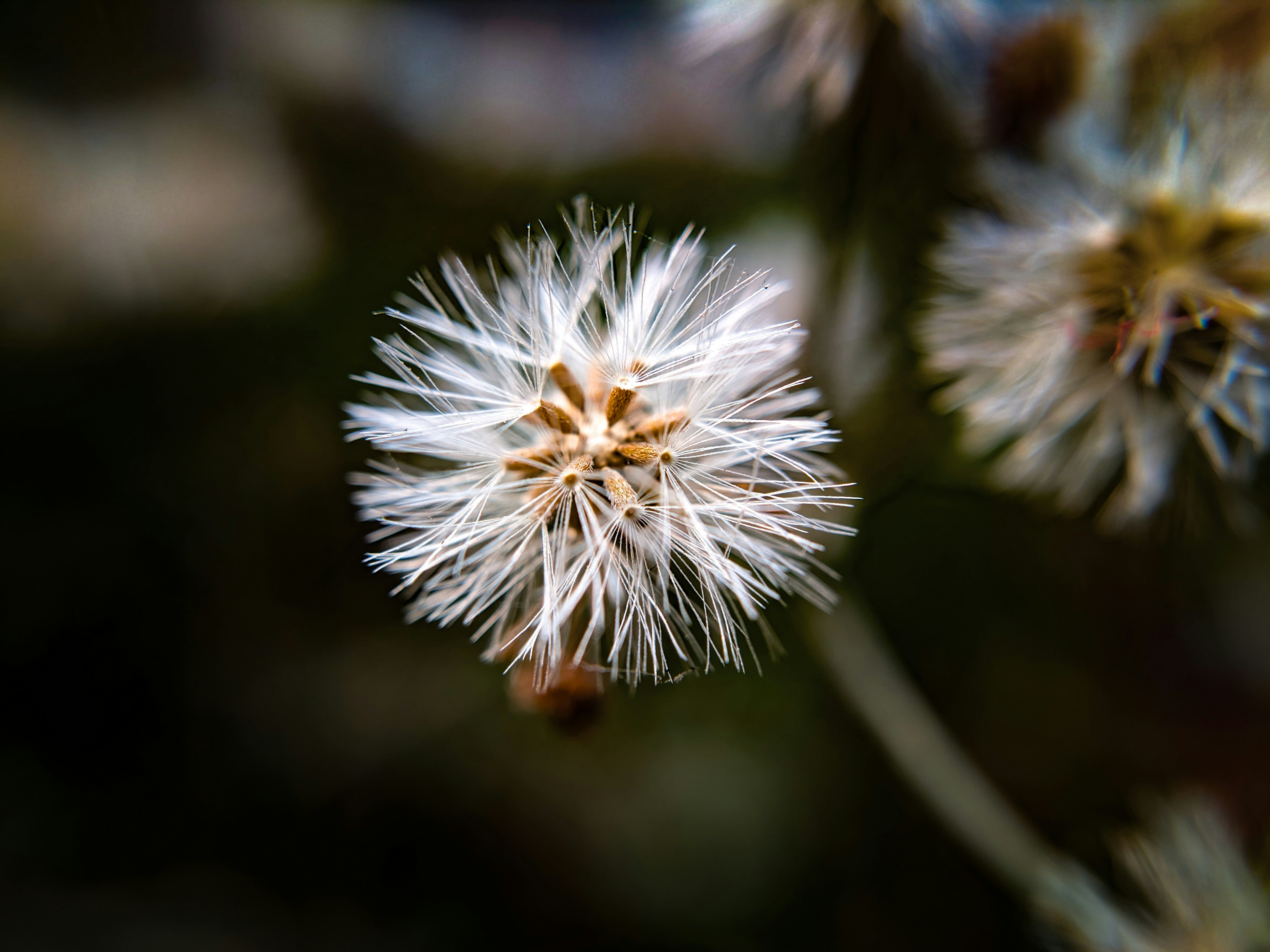 Photo by sujaypaulsp