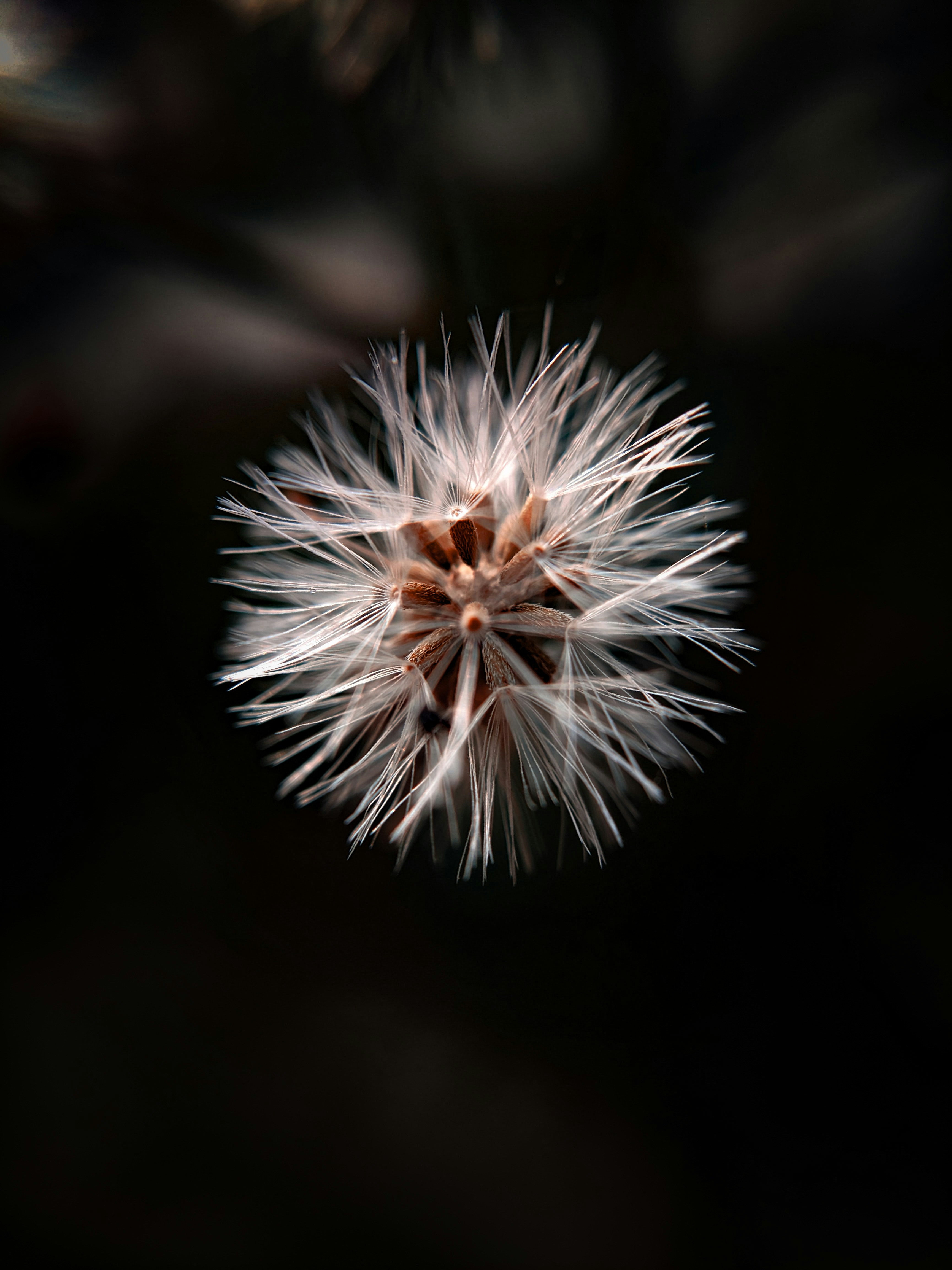 Photo by sujaypaulsp