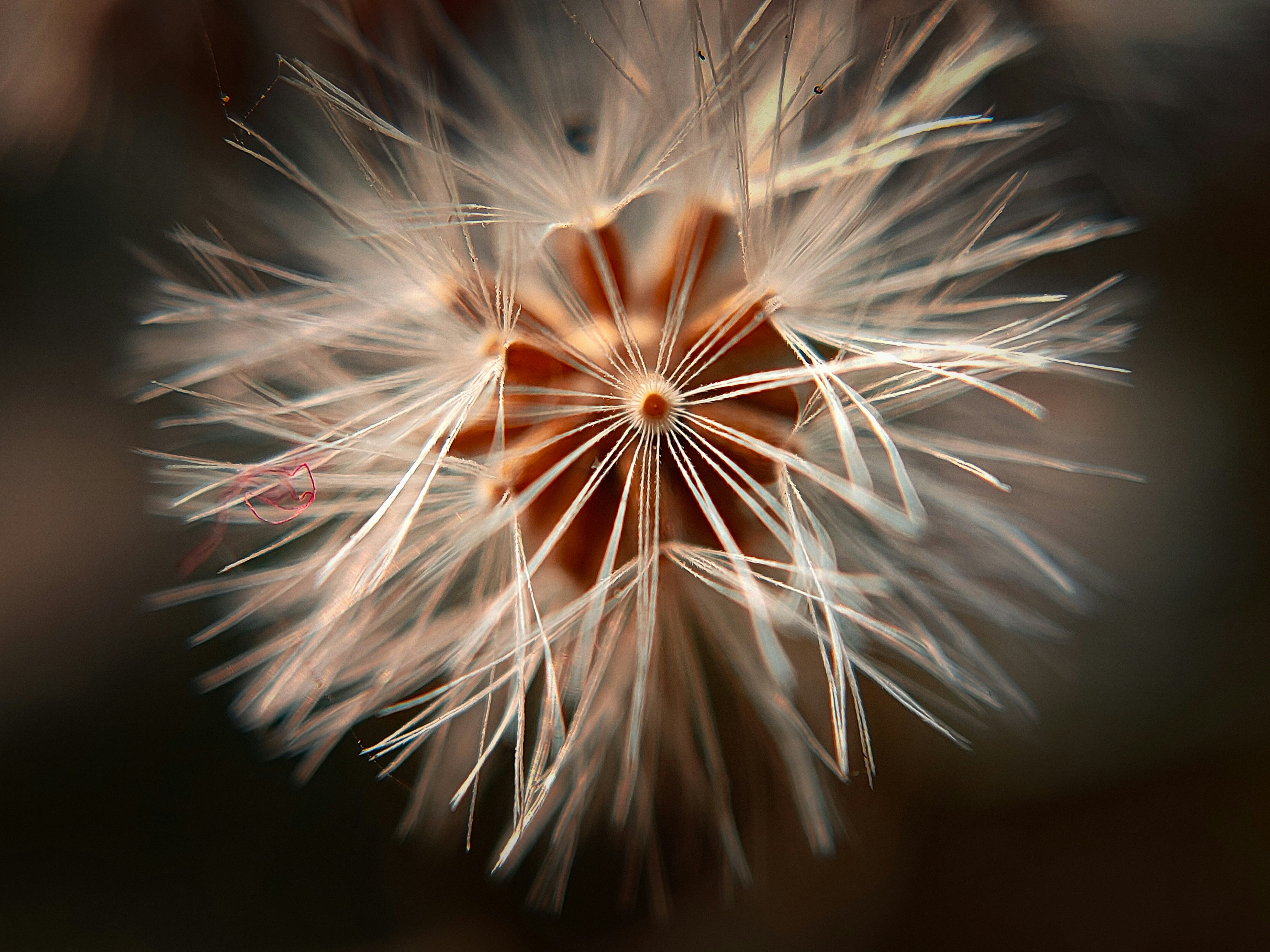 Photo by sujaypaulsp