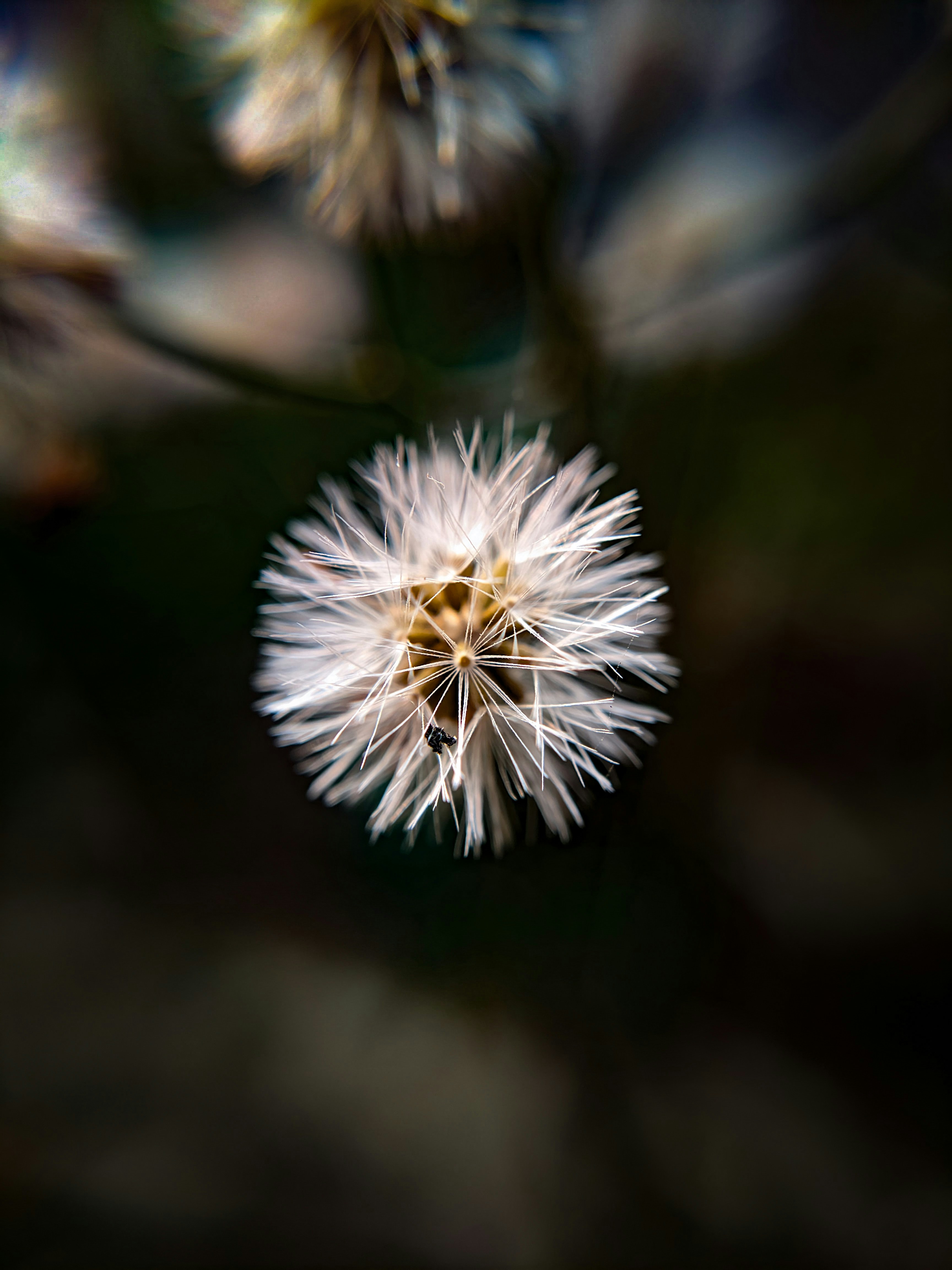 Photo by sujaypaulsp