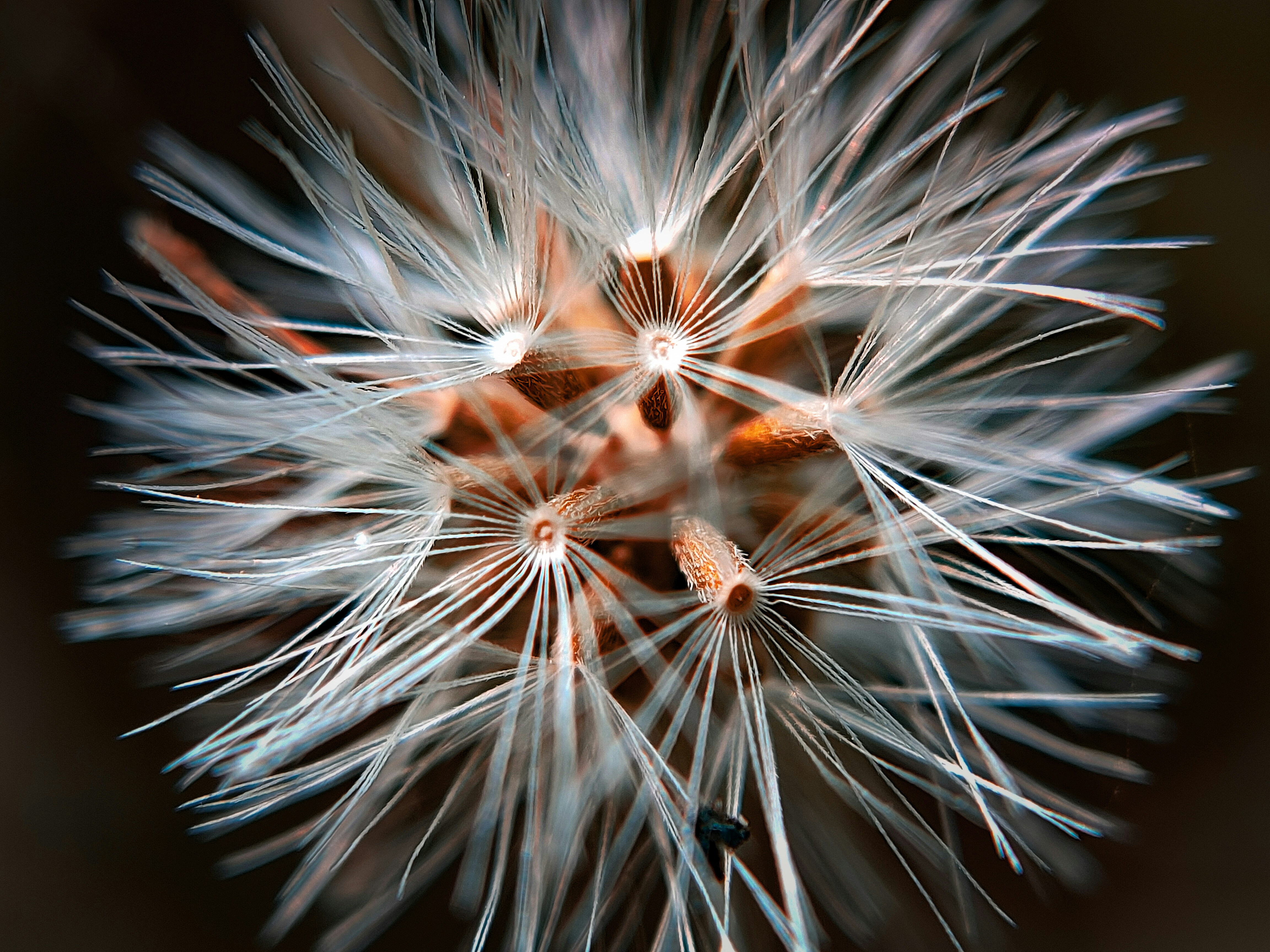 Photo by sujaypaulsp