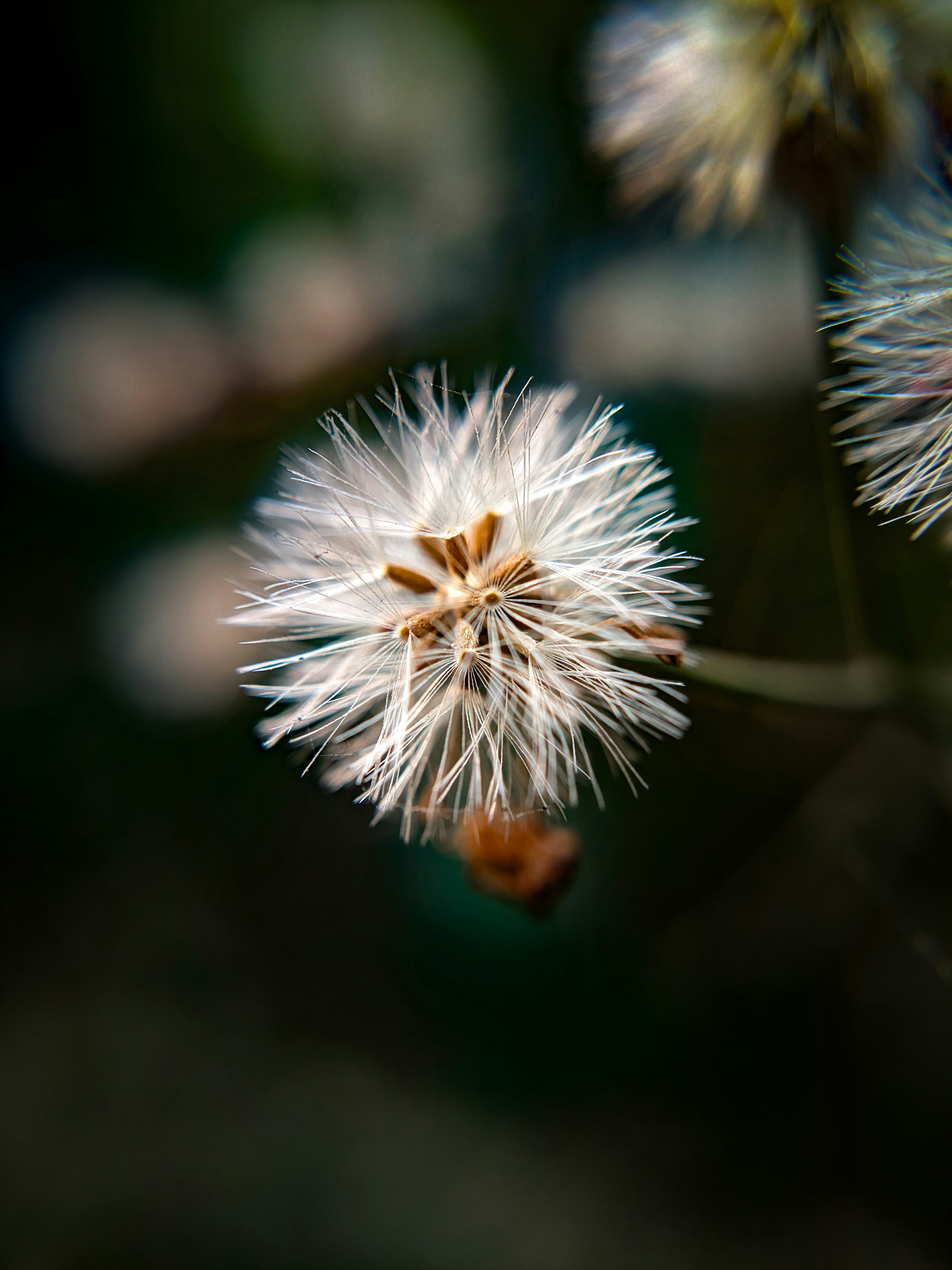 Photo by sujaypaulsp