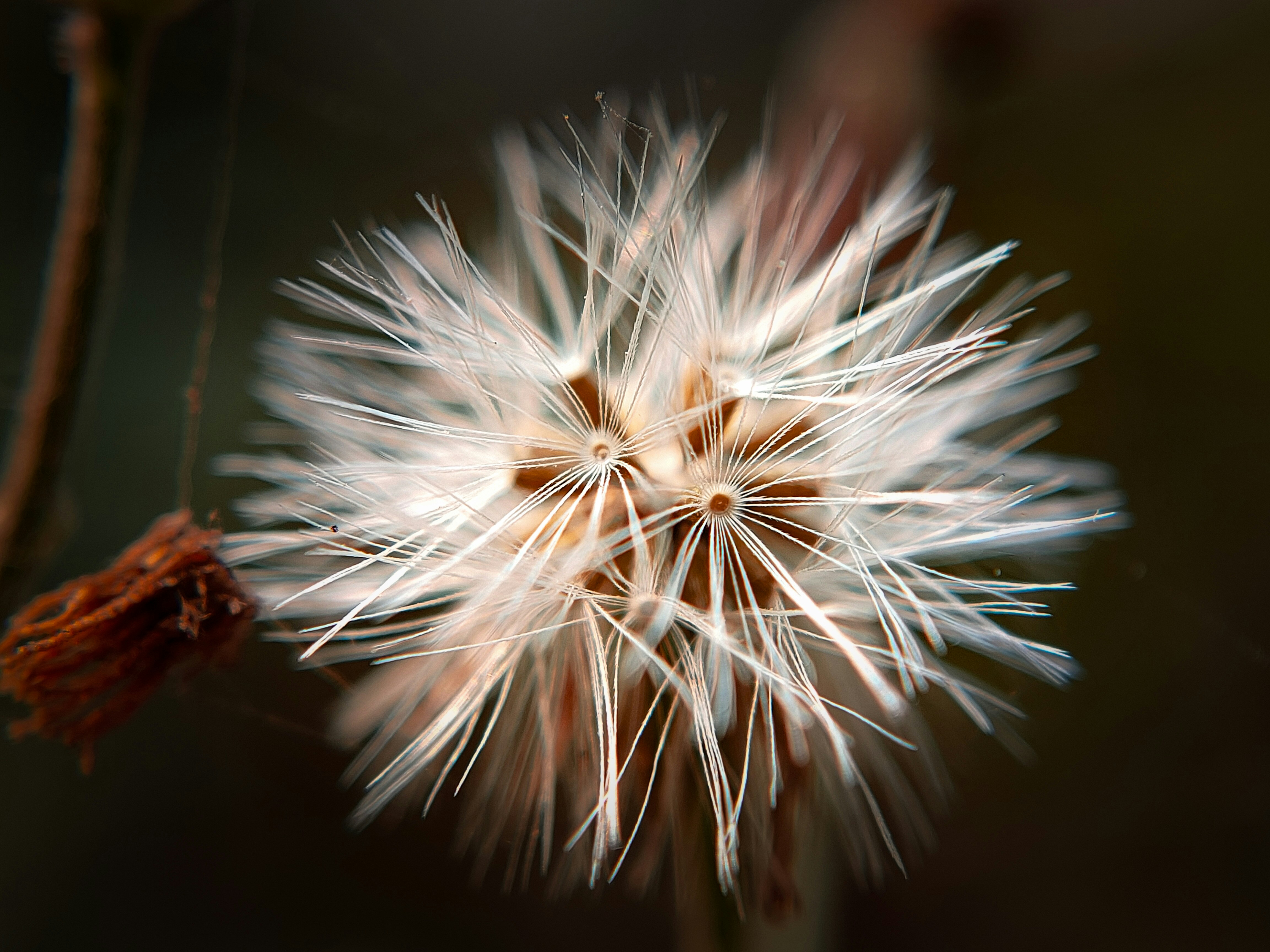 Photo by sujaypaulsp