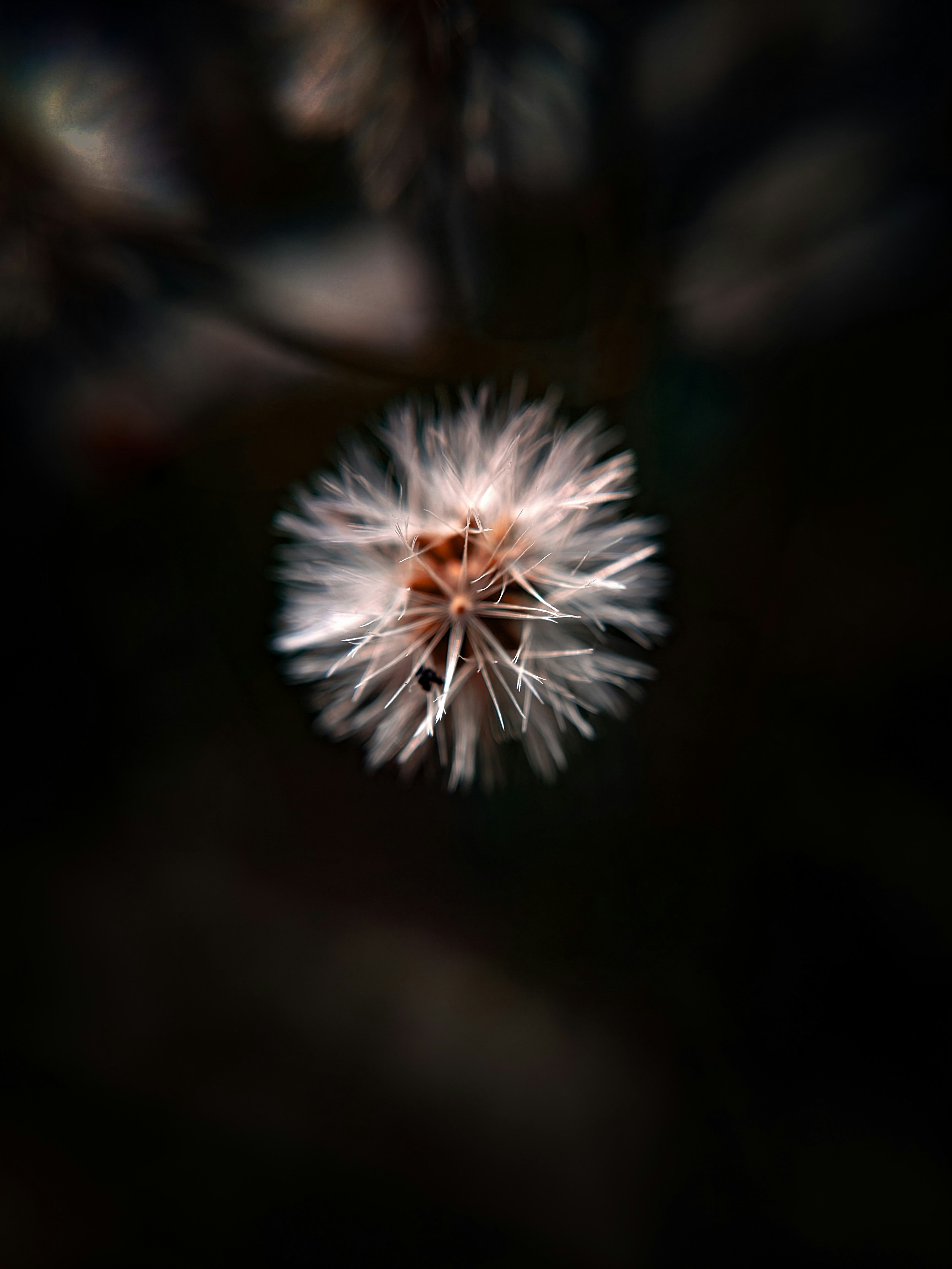 Photo by sujaypaulsp