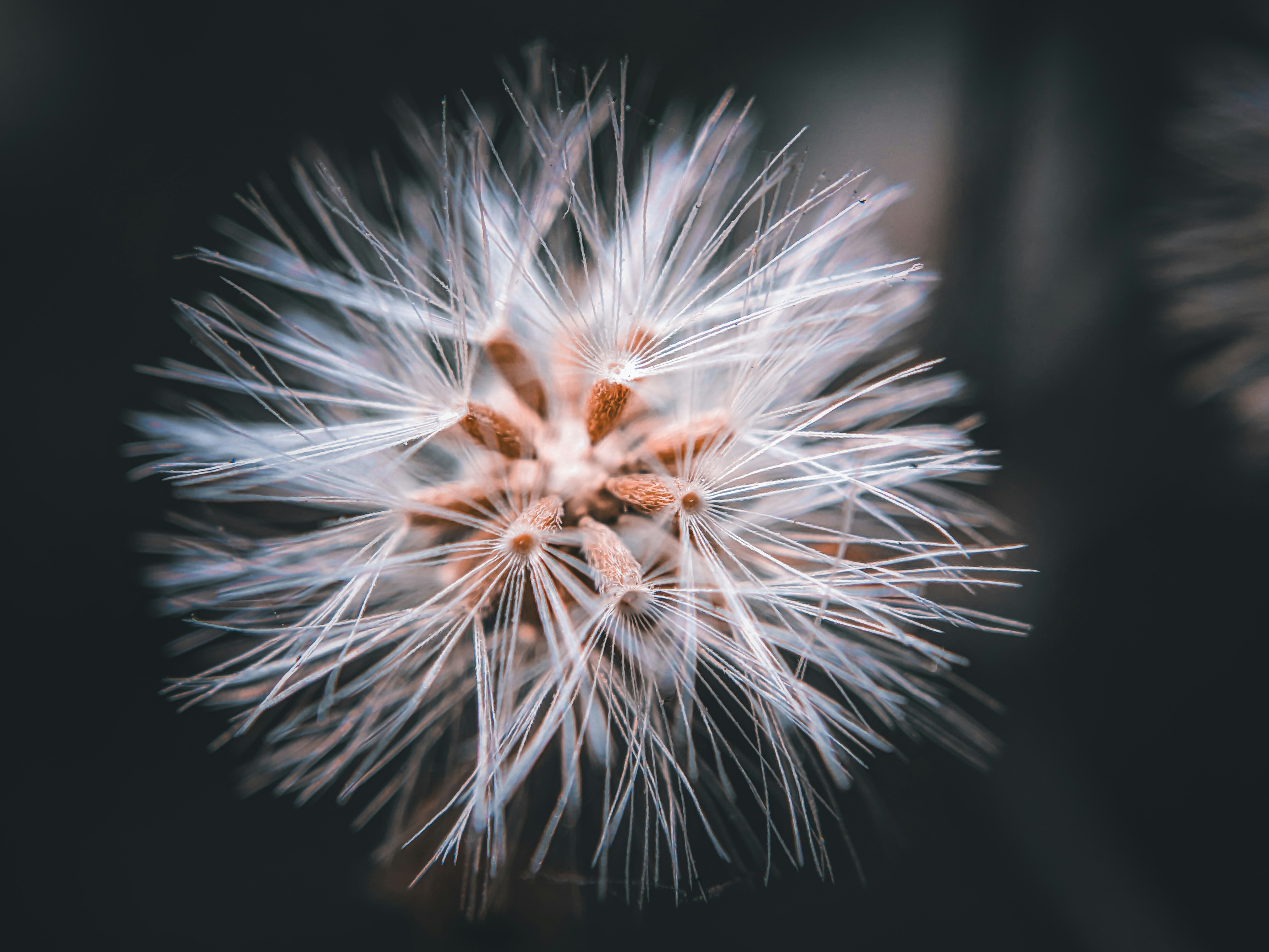 Photo by sujaypaulsp