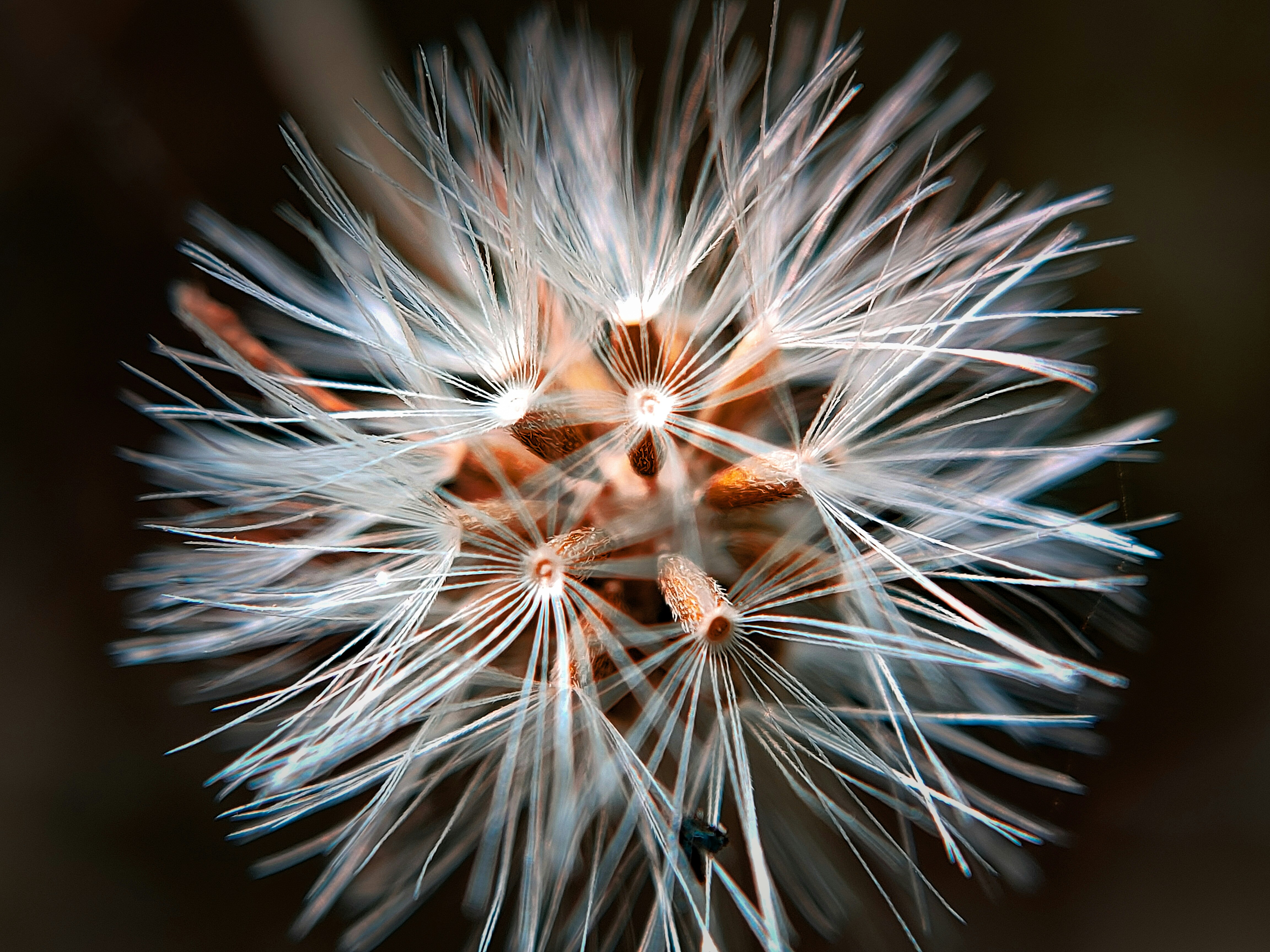 Photo by sujaypaulsp