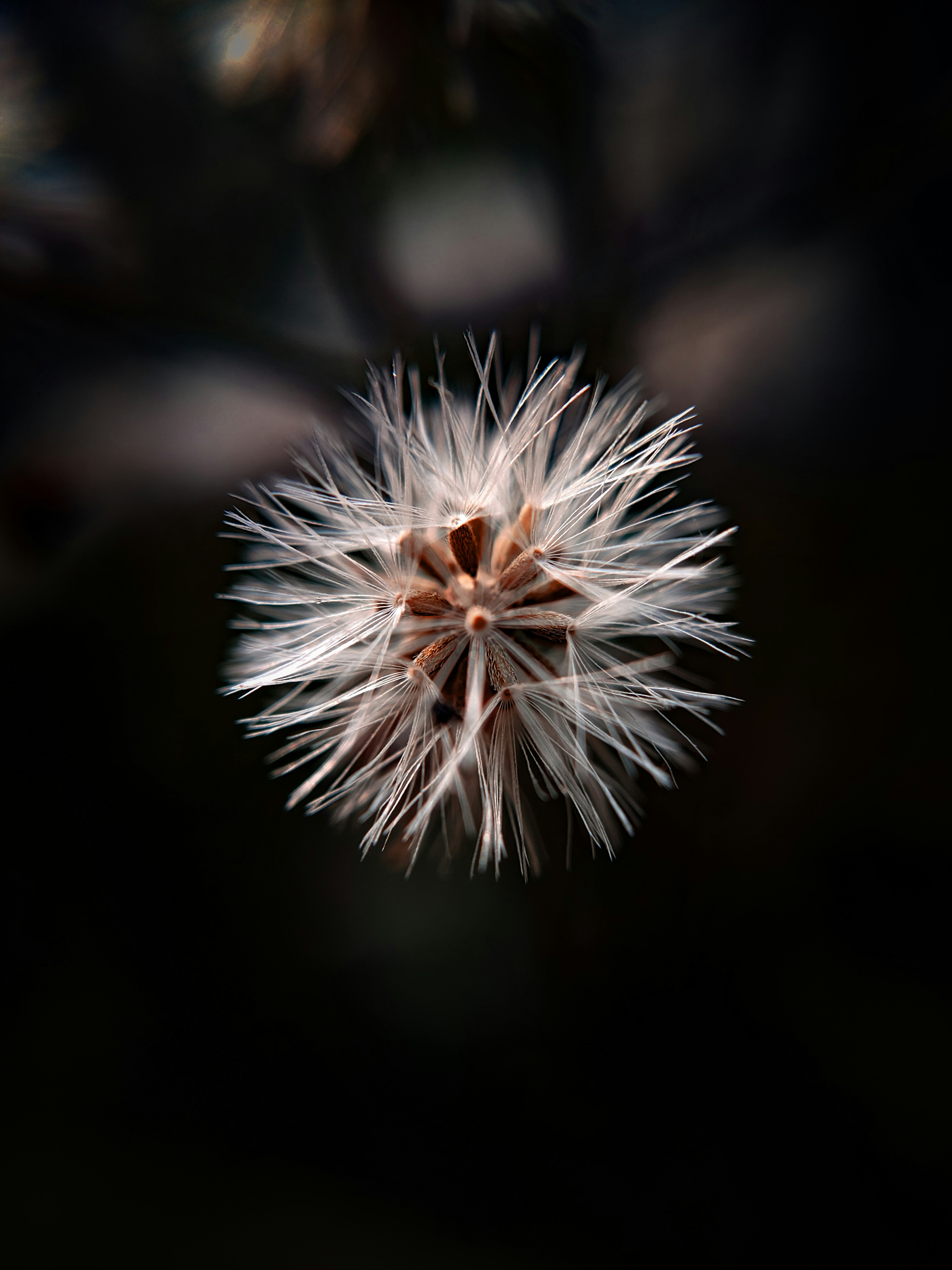 Photo by sujaypaulsp