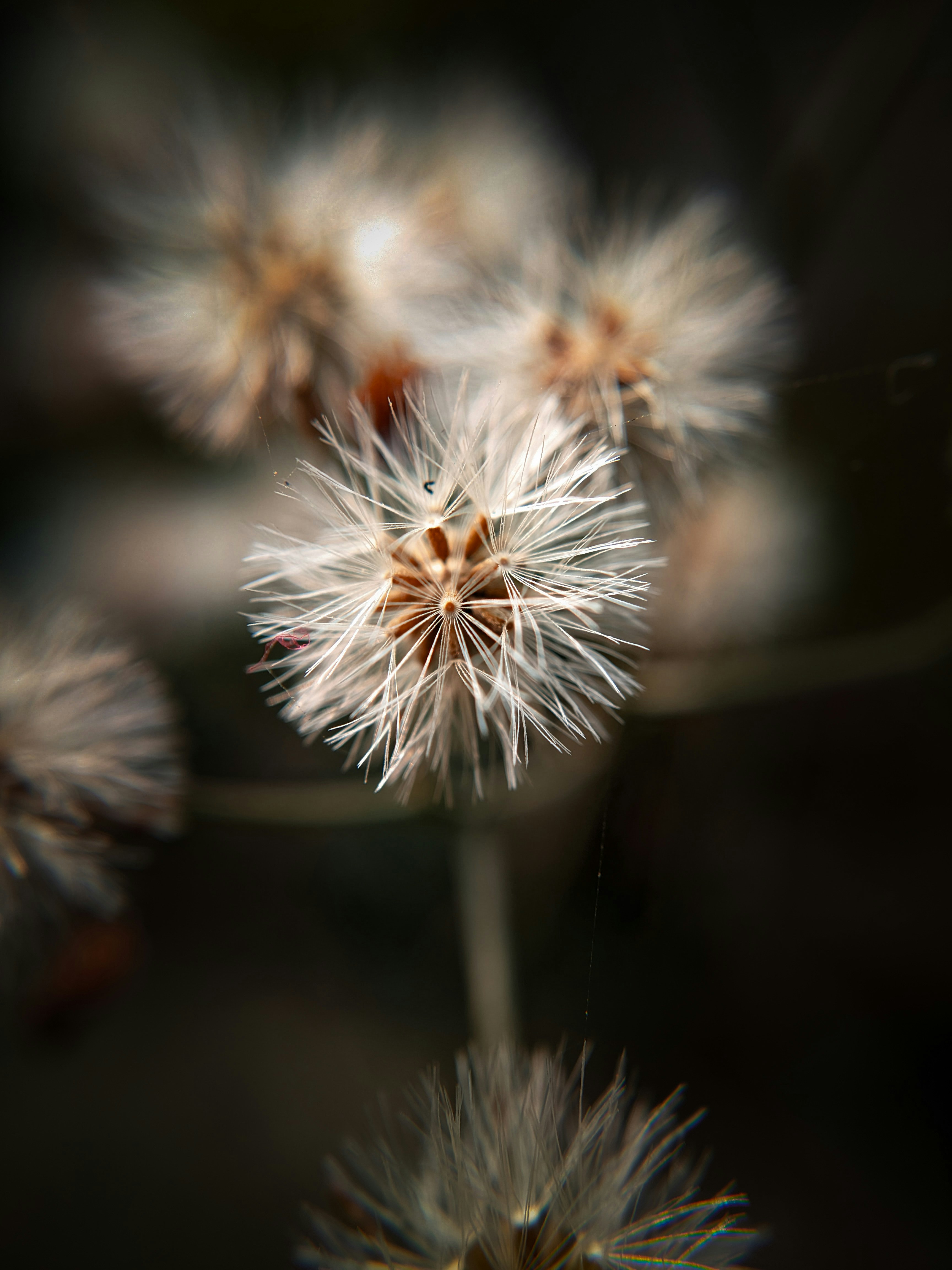 Photo by sujaypaulsp