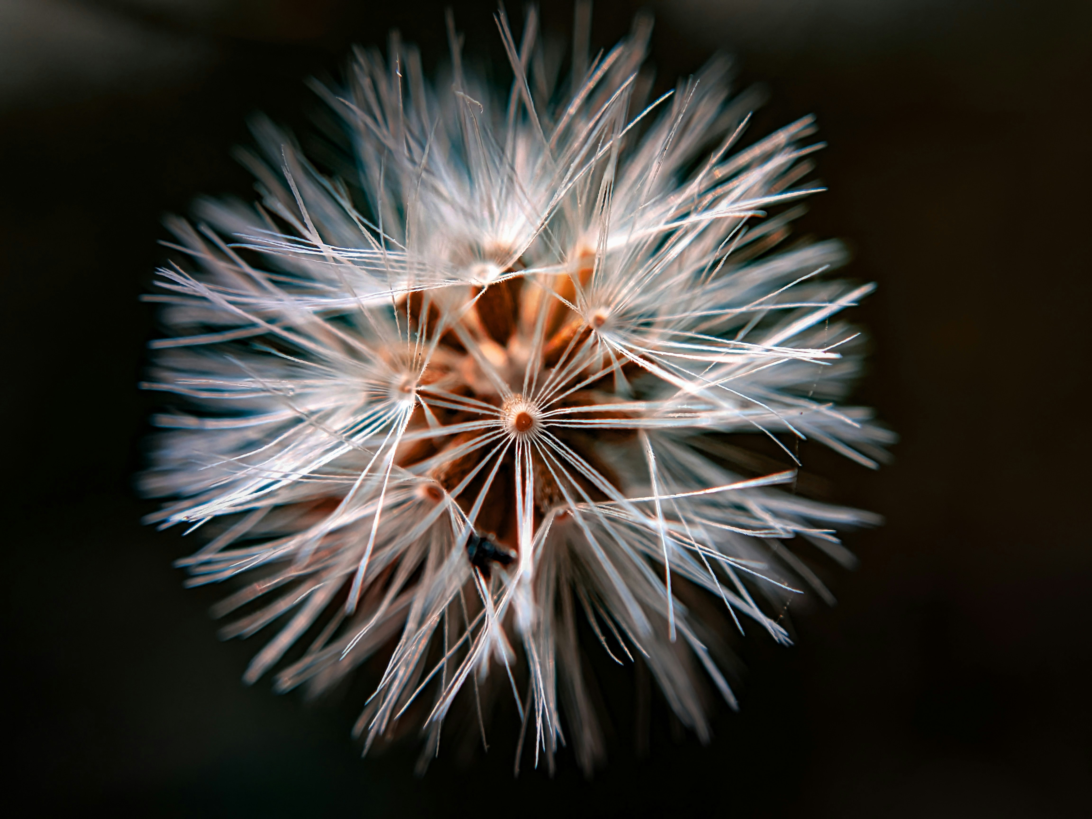 Photo by sujaypaulsp