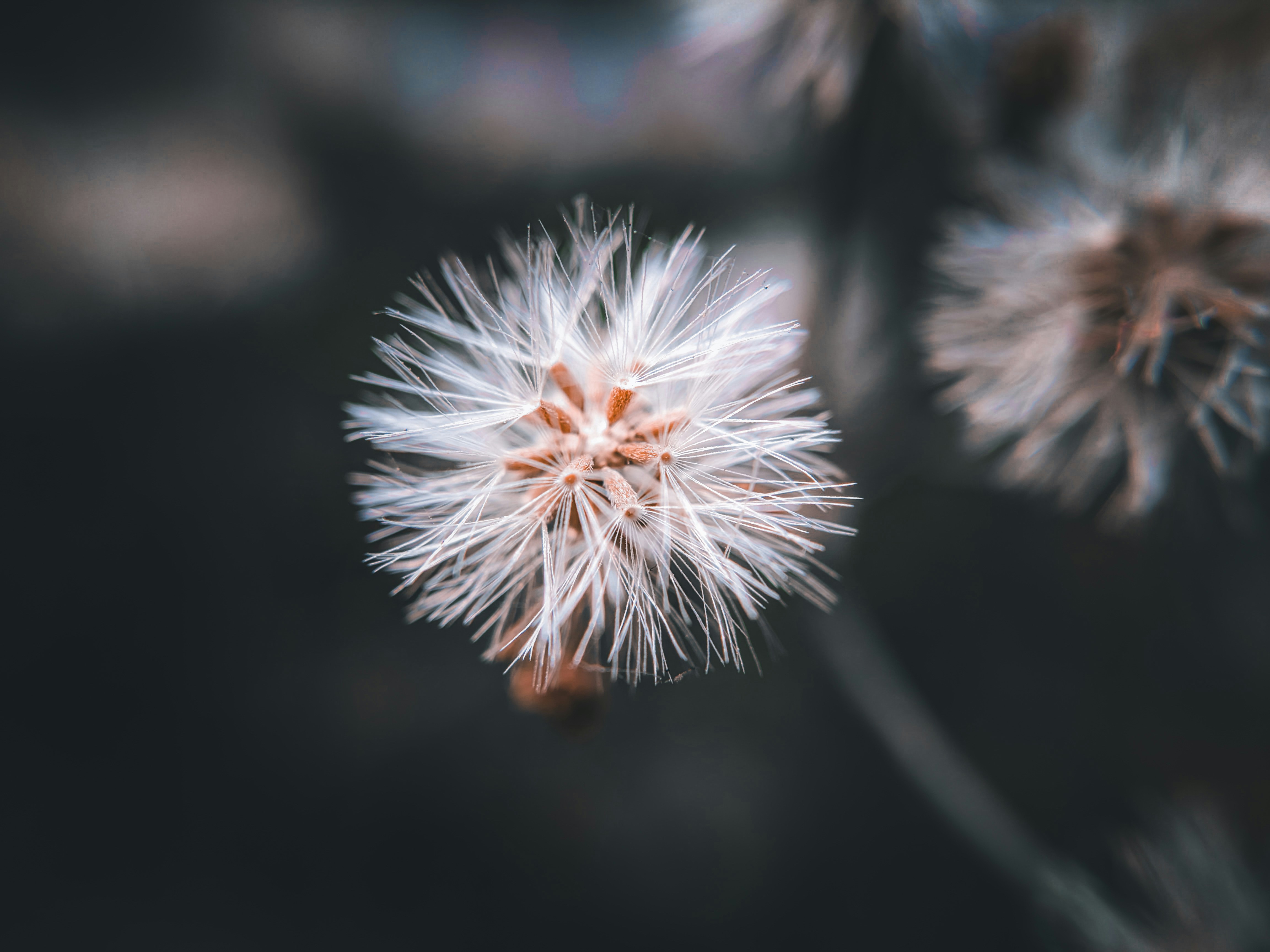 Photo by sujaypaulsp