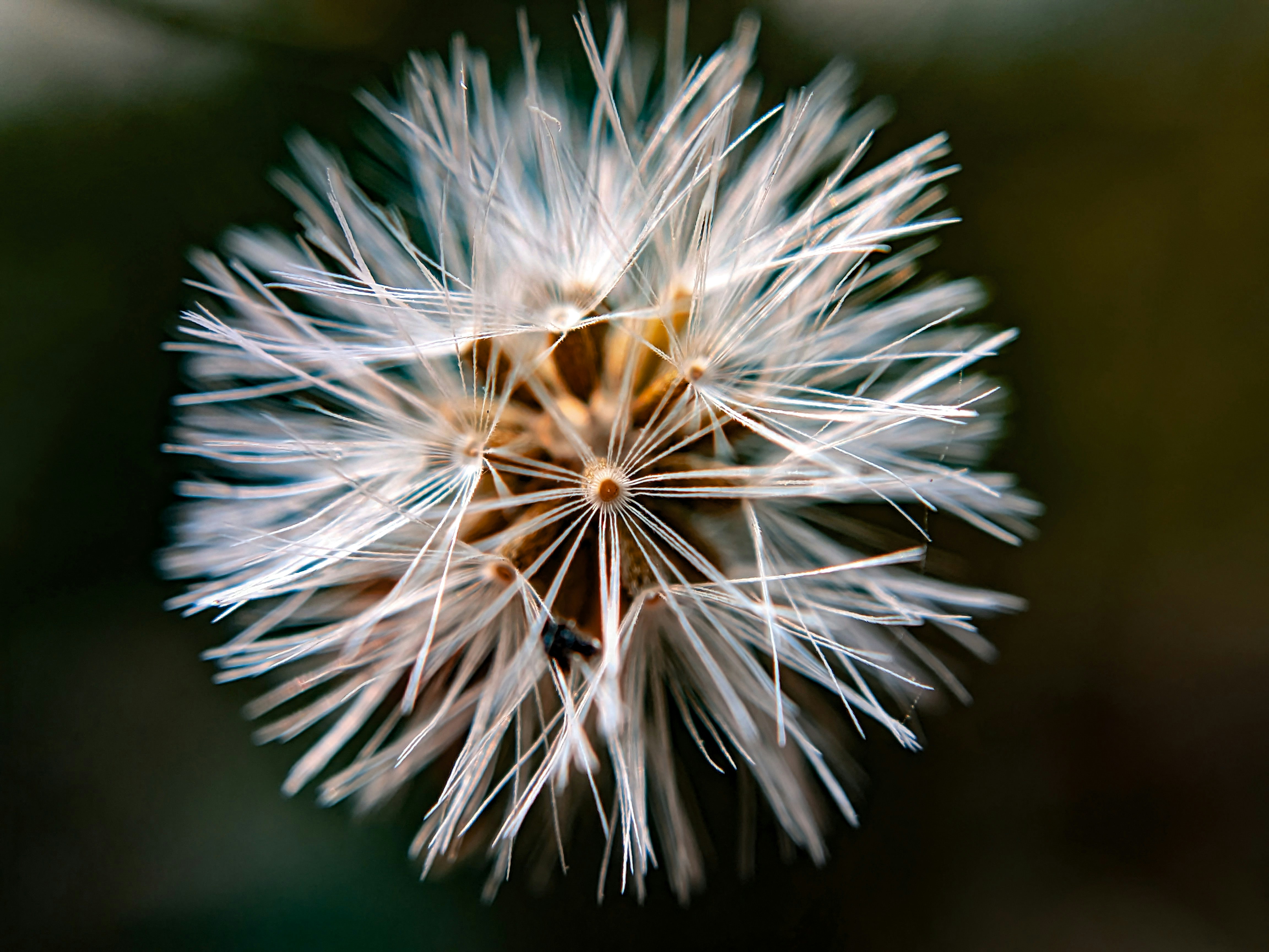 Photo by sujaypaulsp