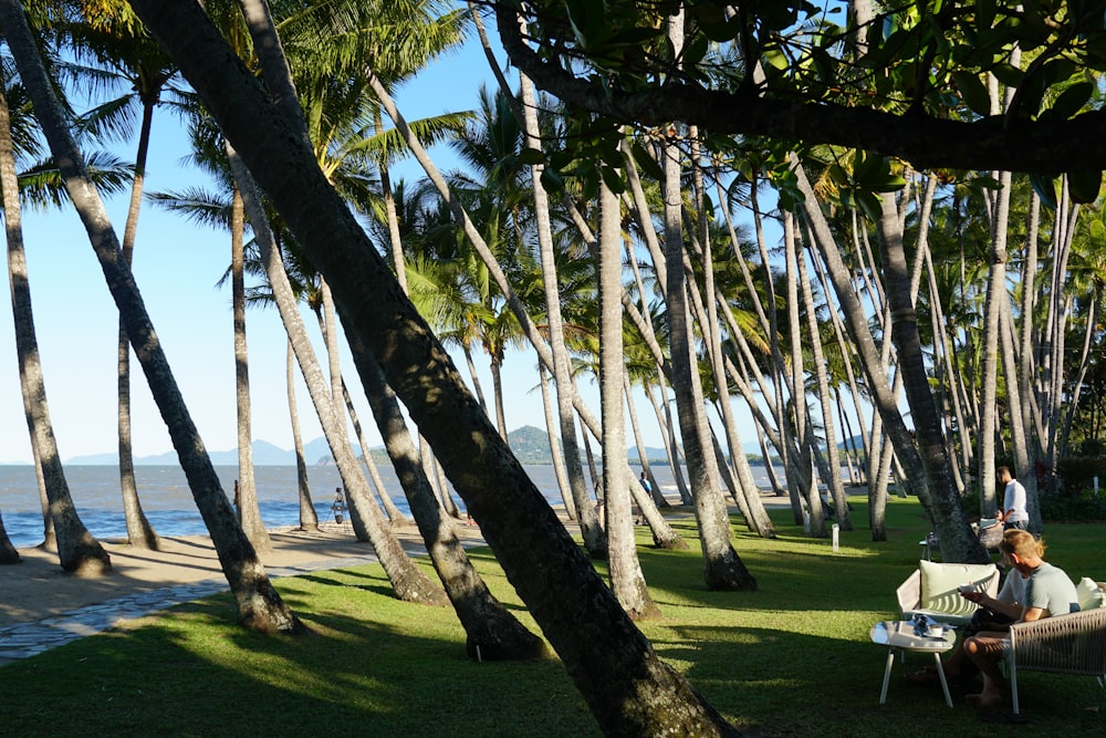 a man sitting on a bench under palm trees