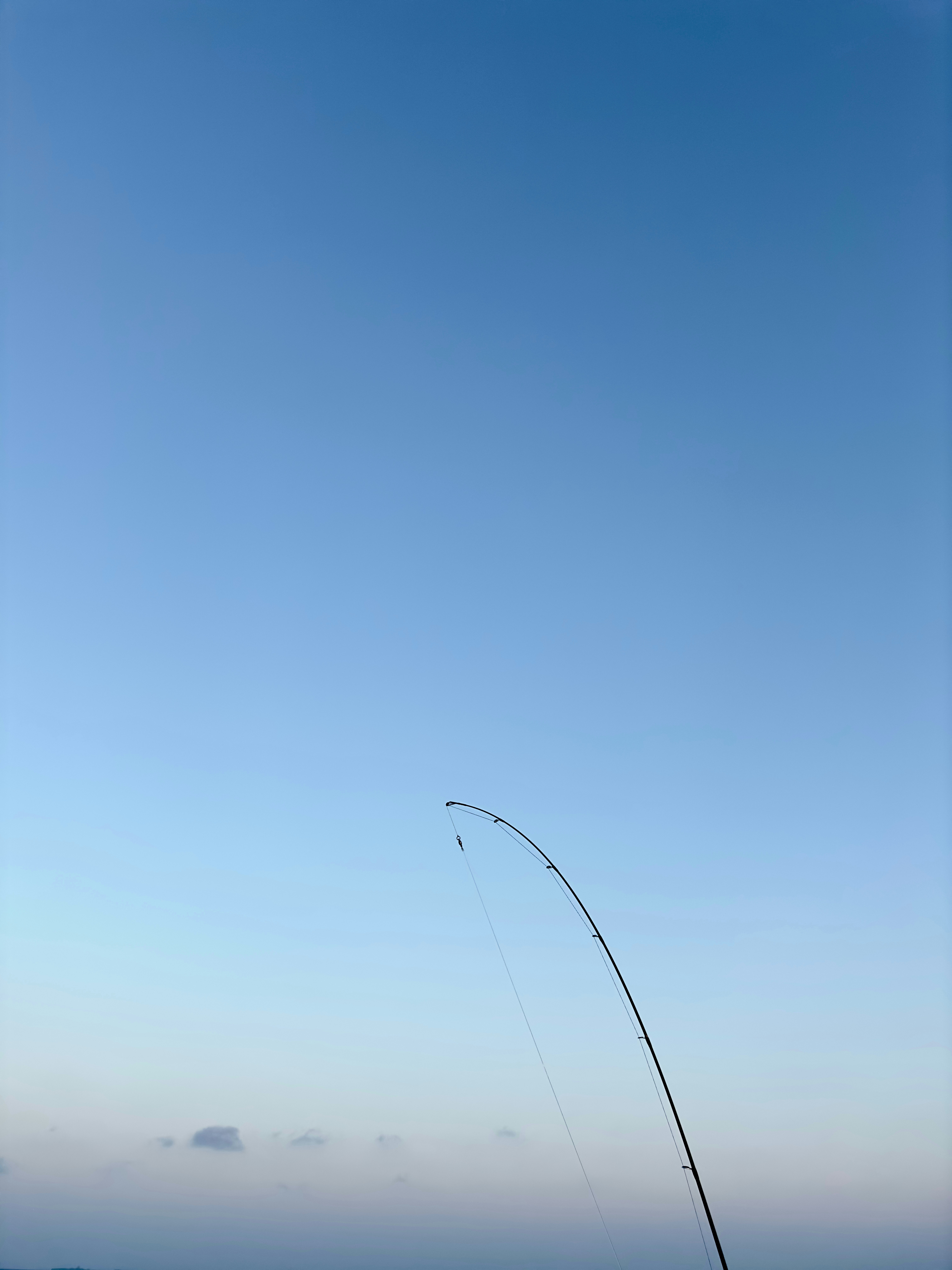 amami island fishing