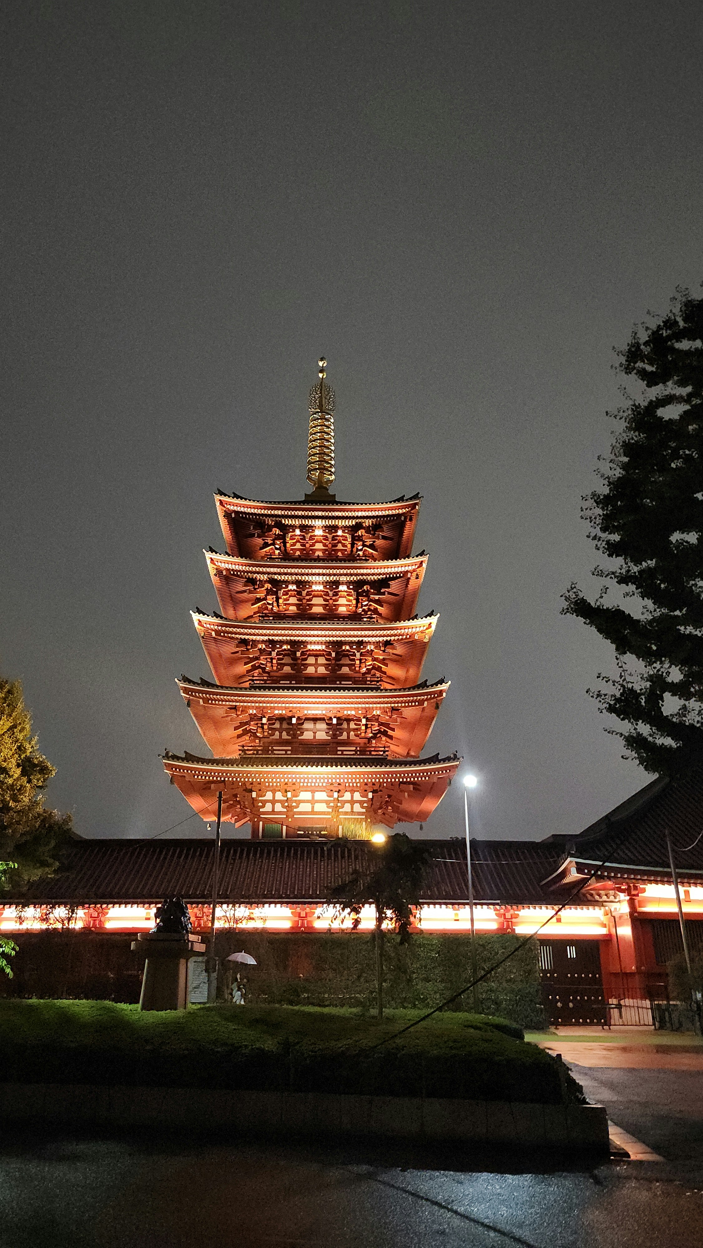 Photo by bobbbylight