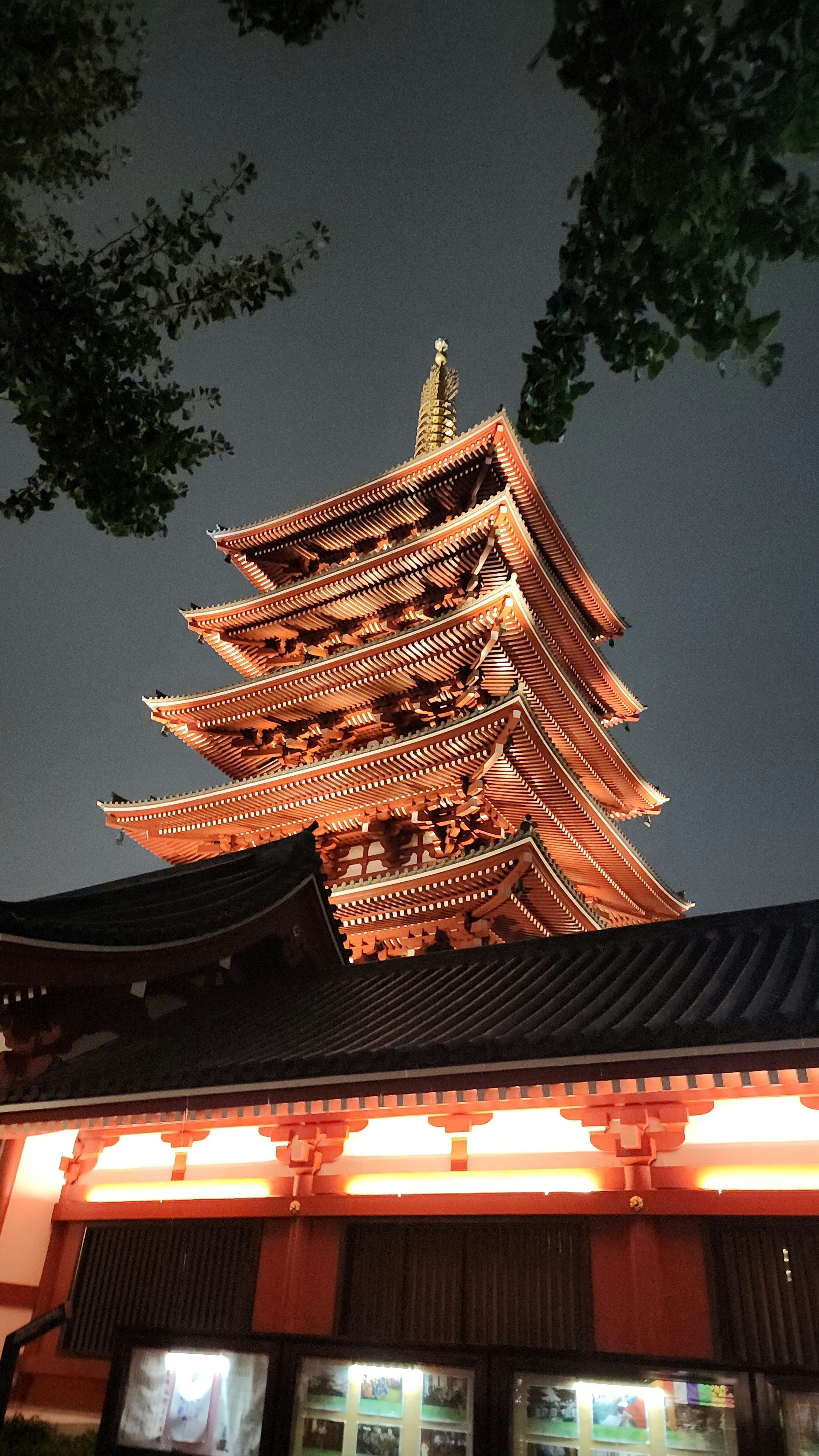 Photo by bobbbylight