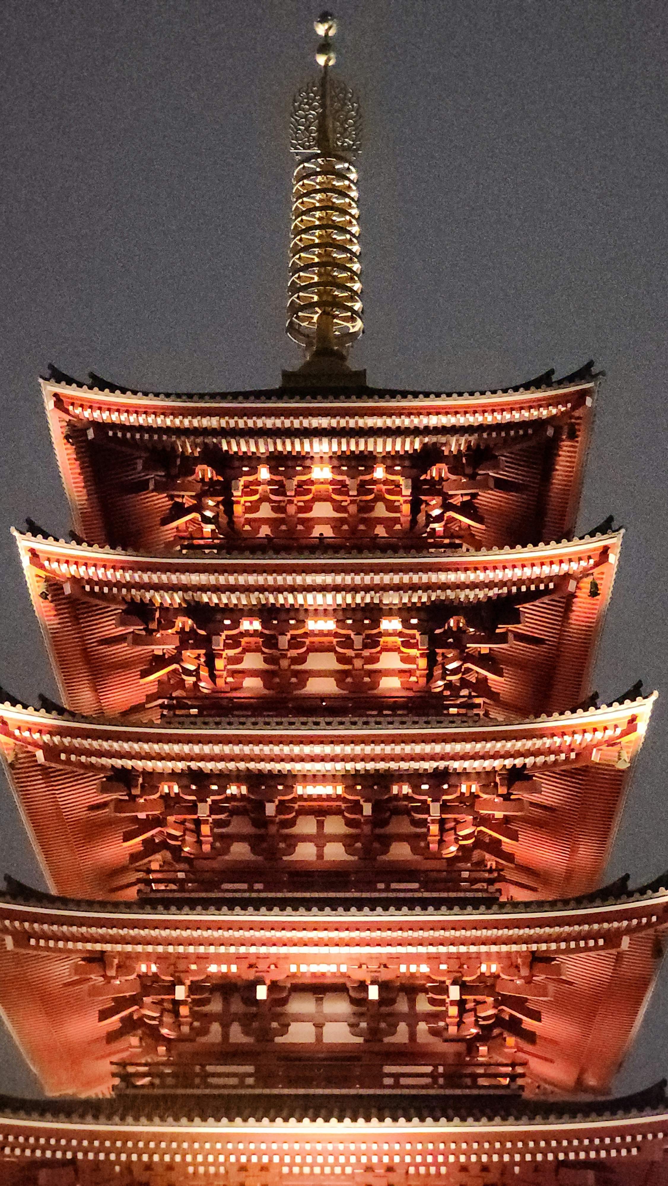 Photo by bobbbylight