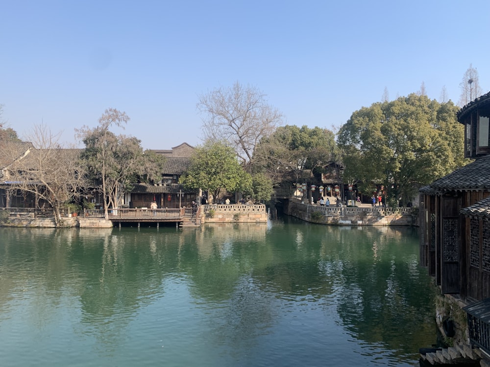 a body of water surrounded by trees and buildings