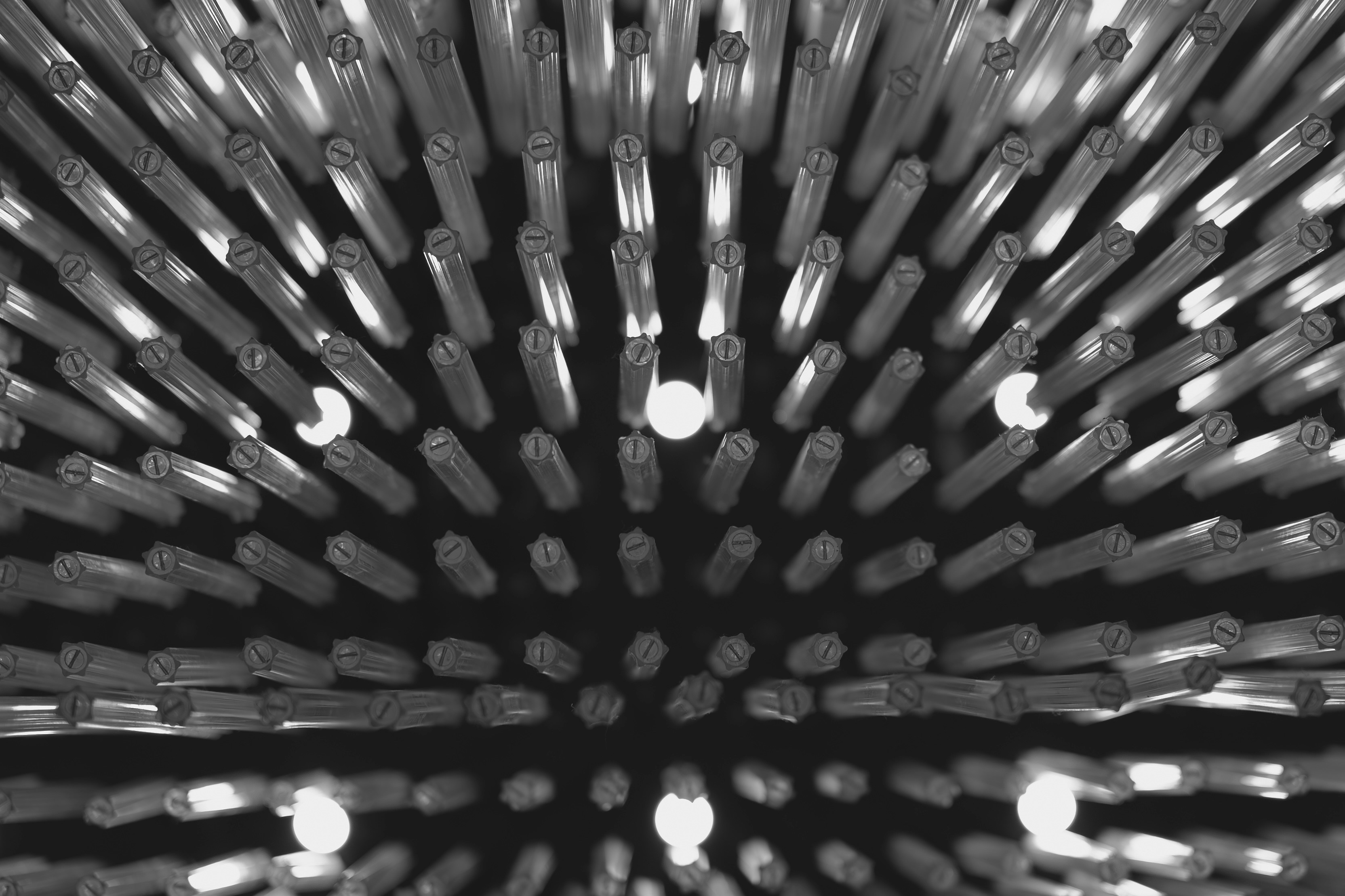 Photo by wangbinghua