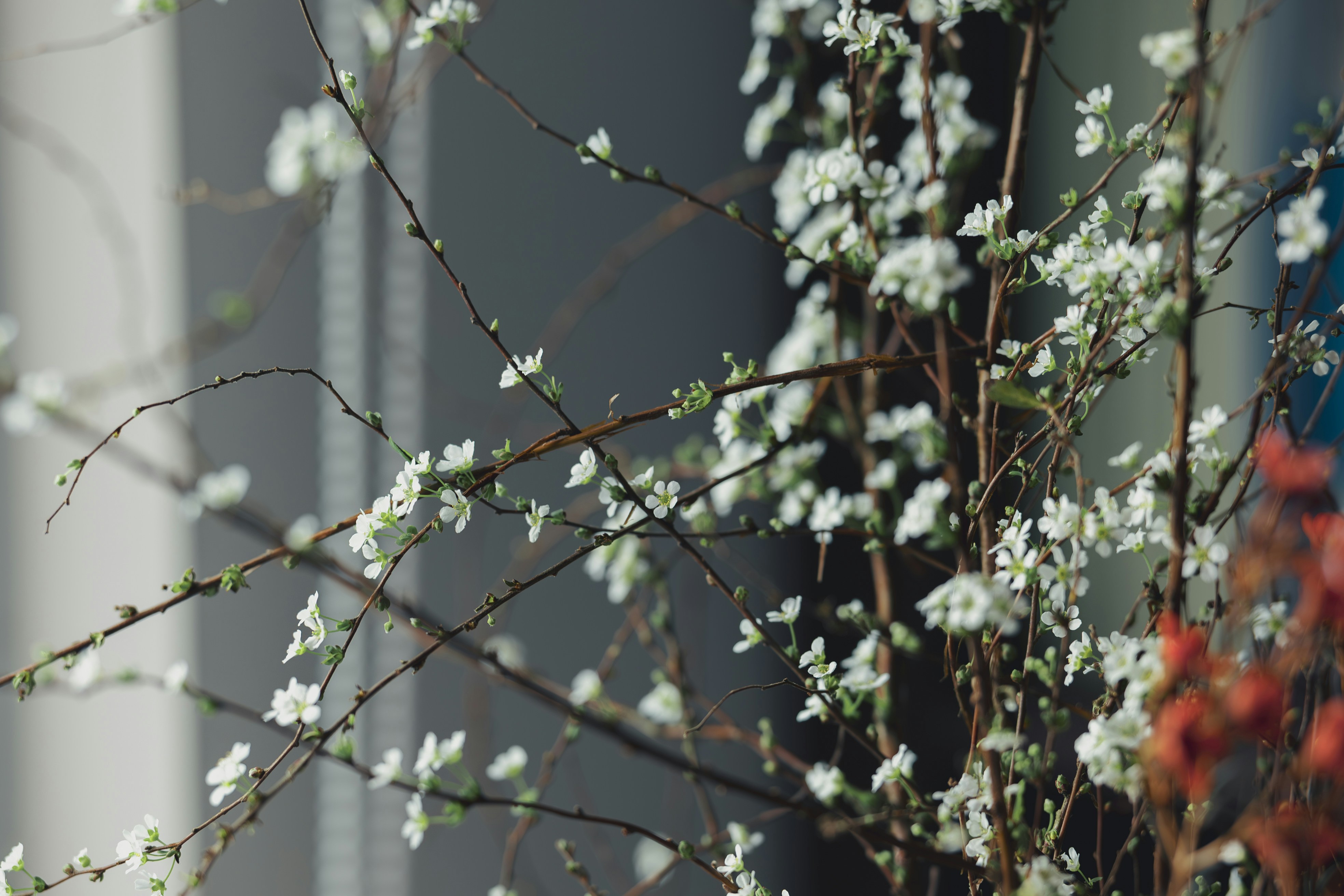 Photo by wangbinghua