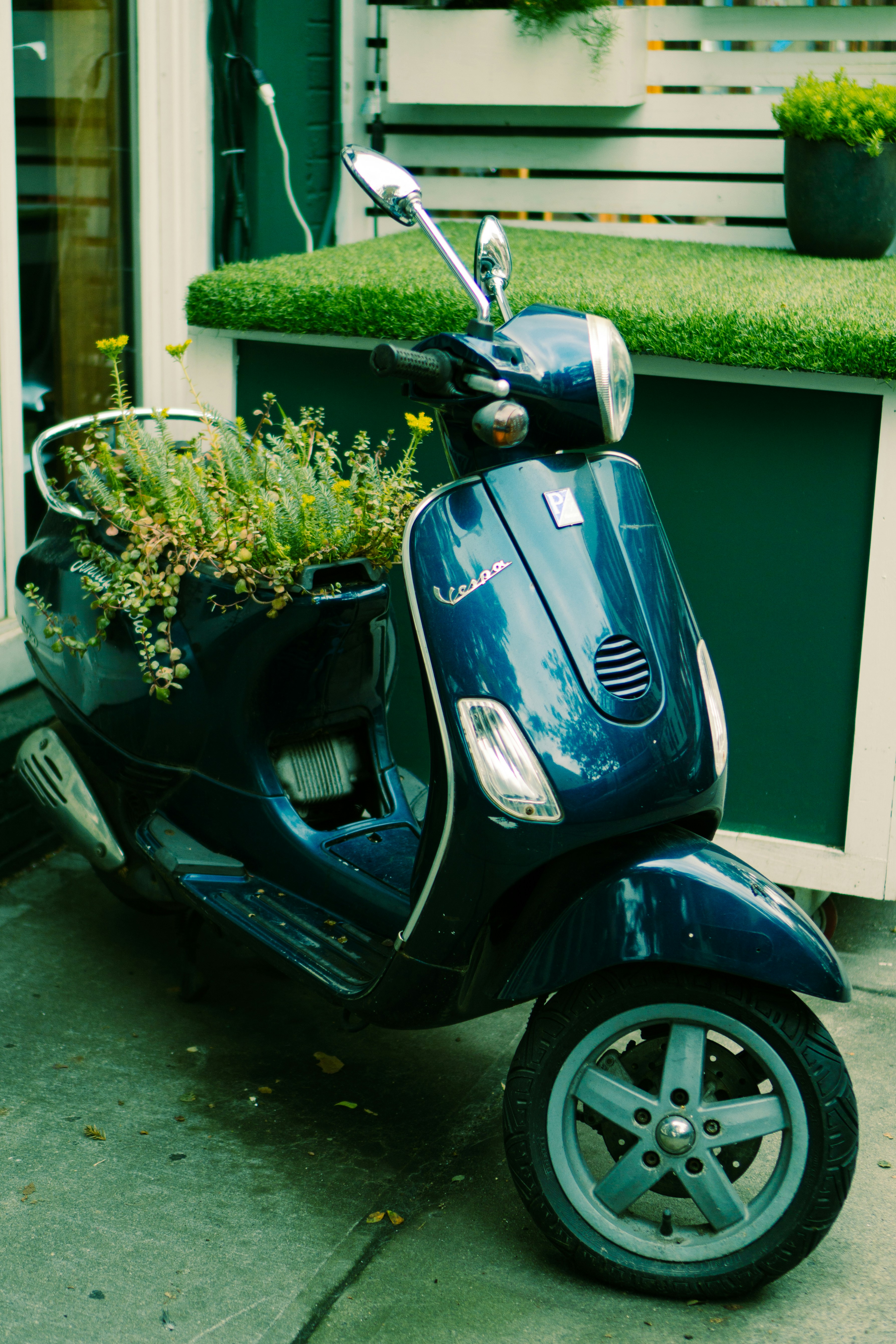 a scooter with a planter on the back of it