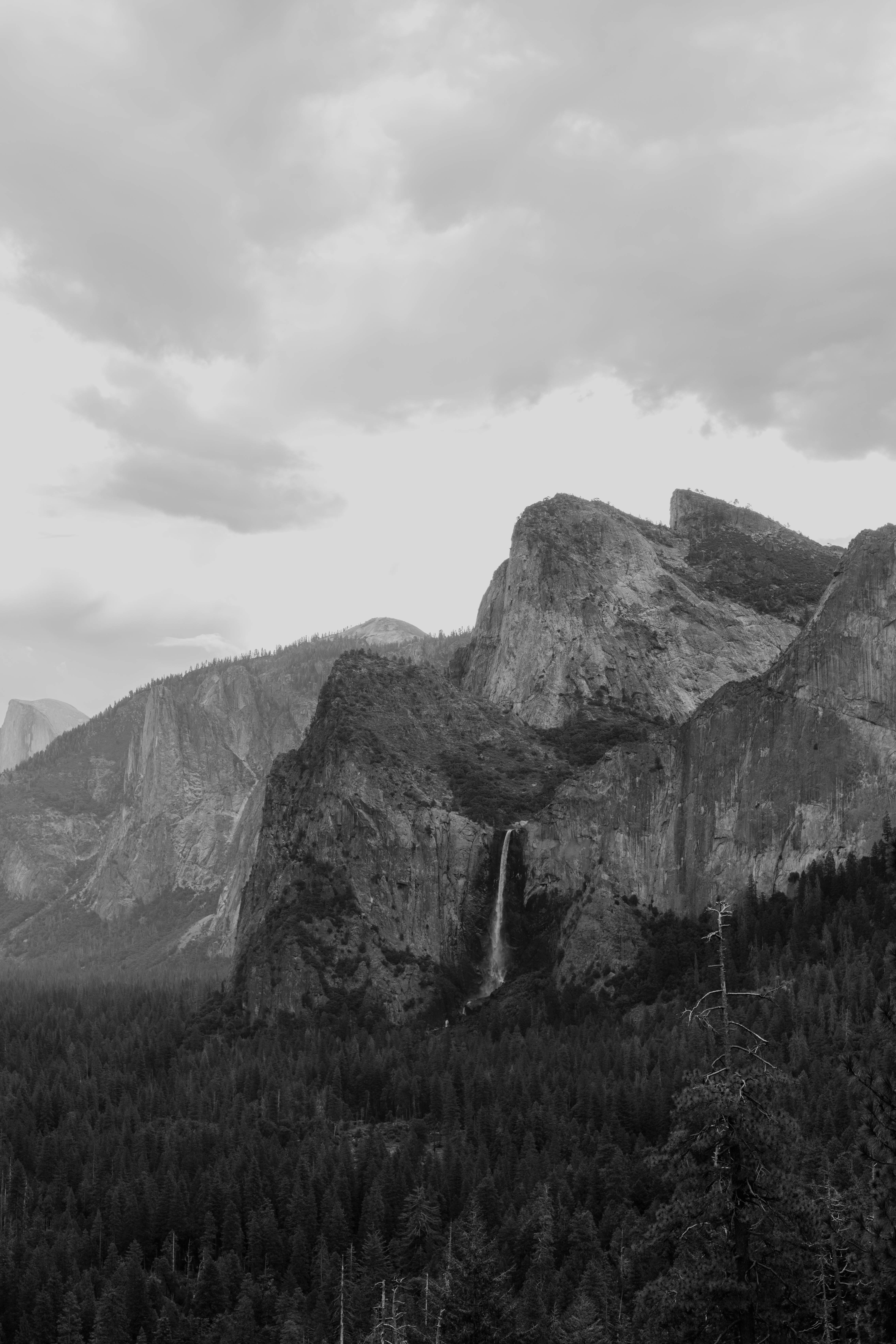 Photo by whitecanvascreative