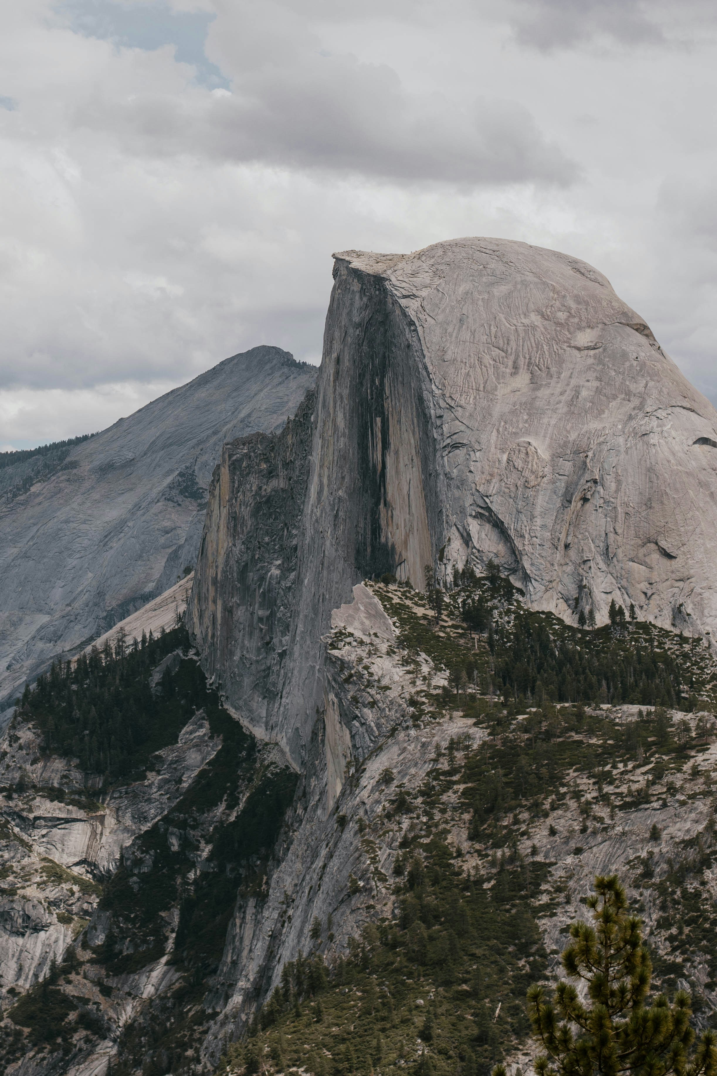 Photo by whitecanvascreative