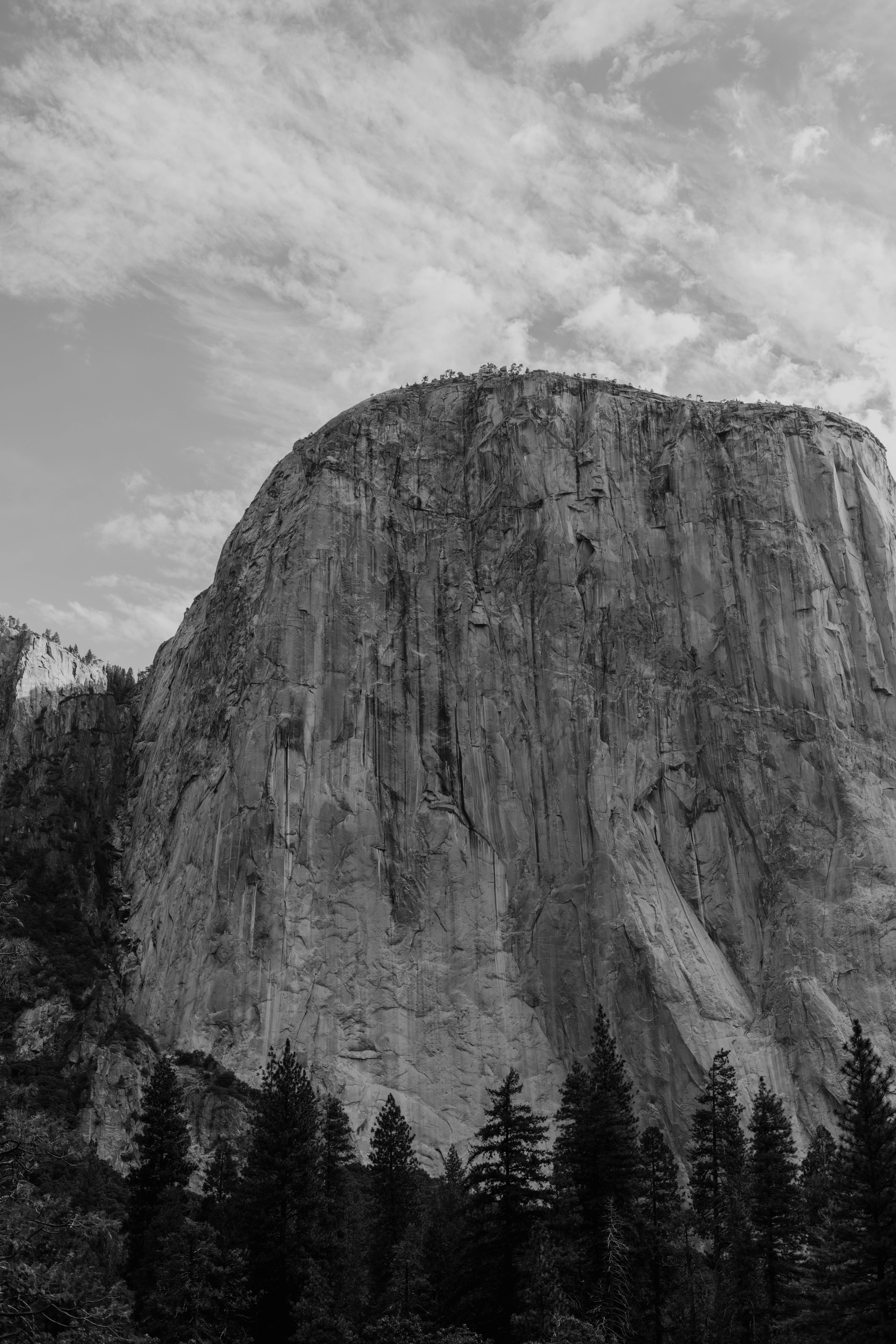 Photo by whitecanvascreative